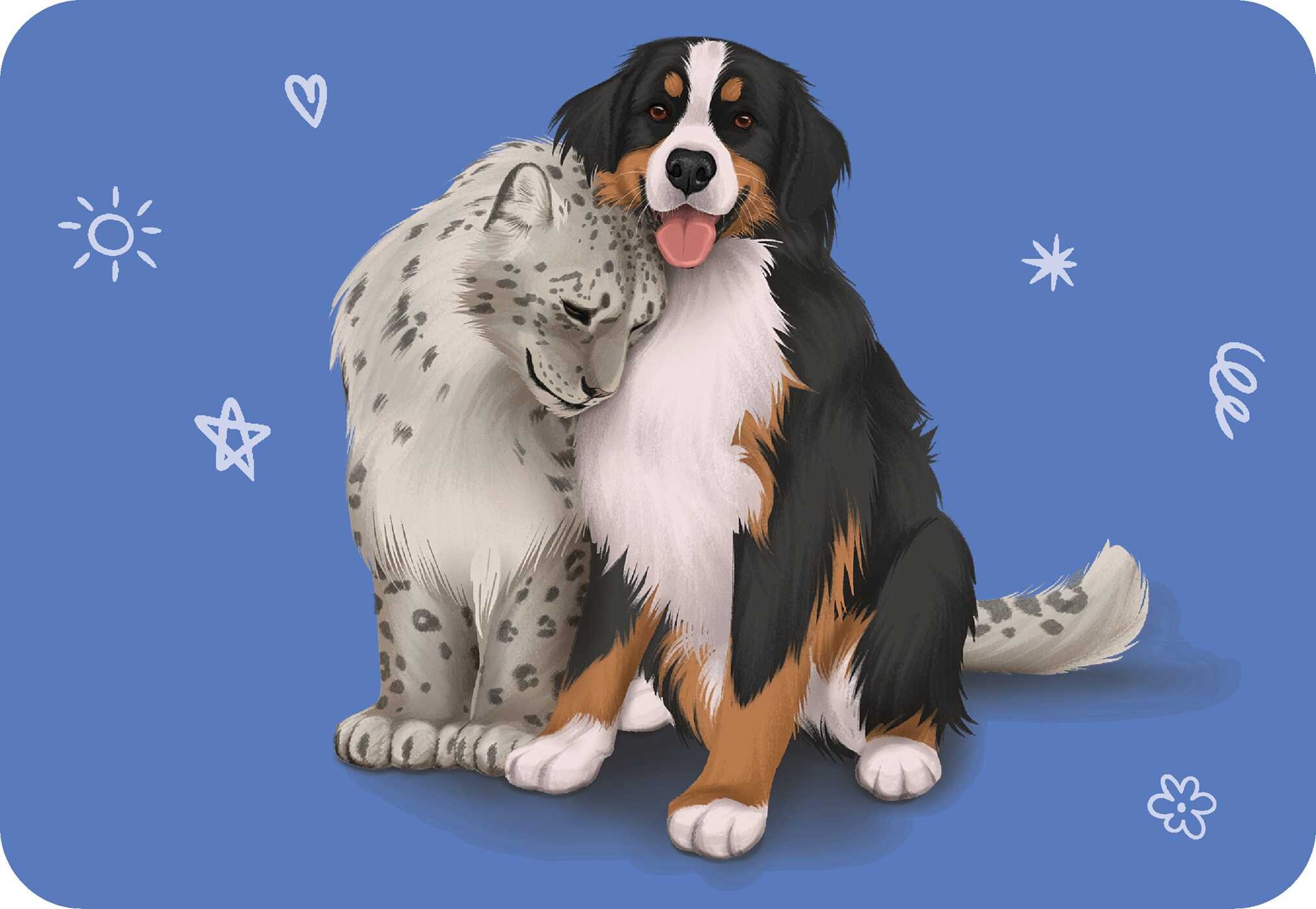 Unusual Animal Friendships
