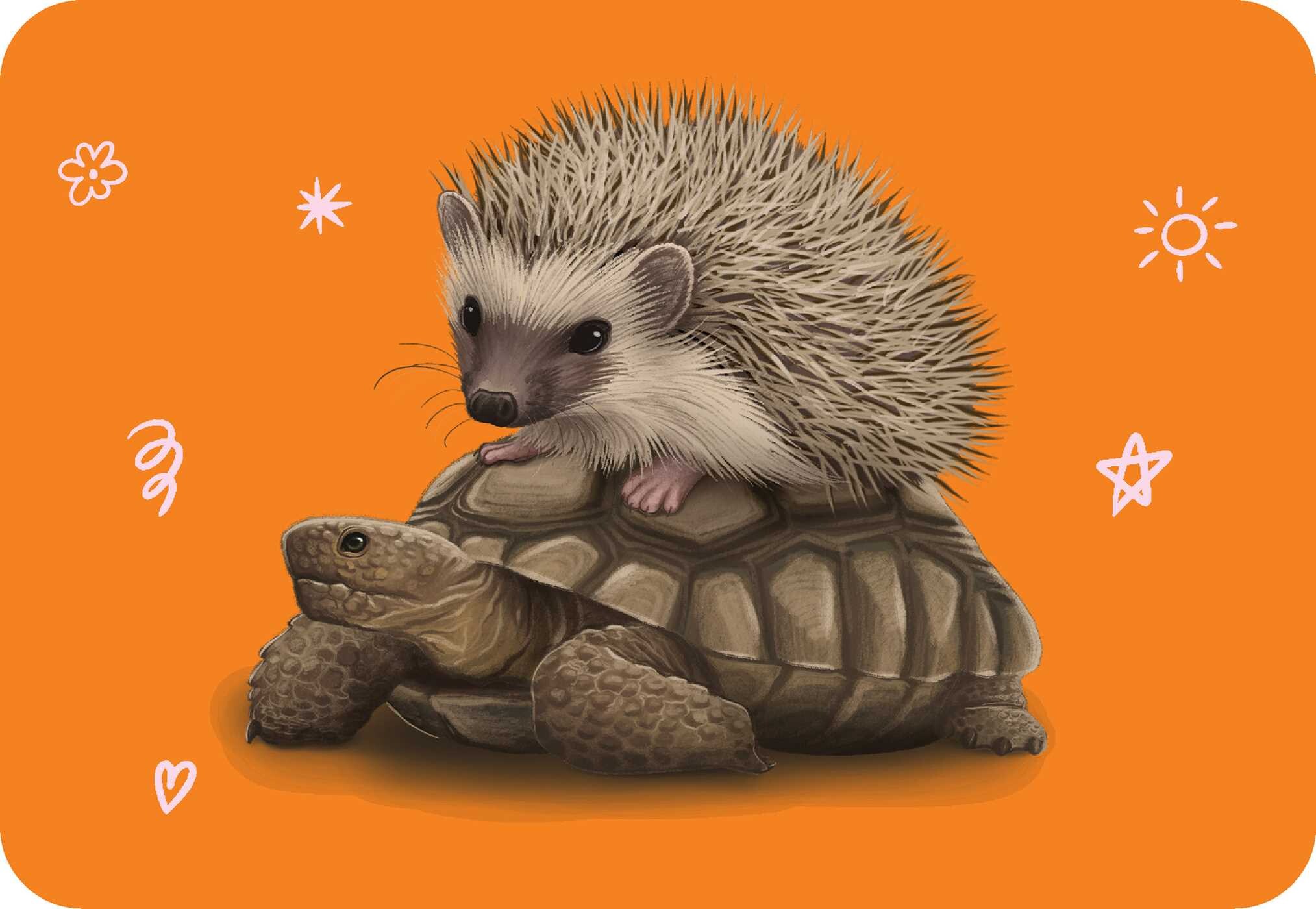 Unusual Animal Friendships