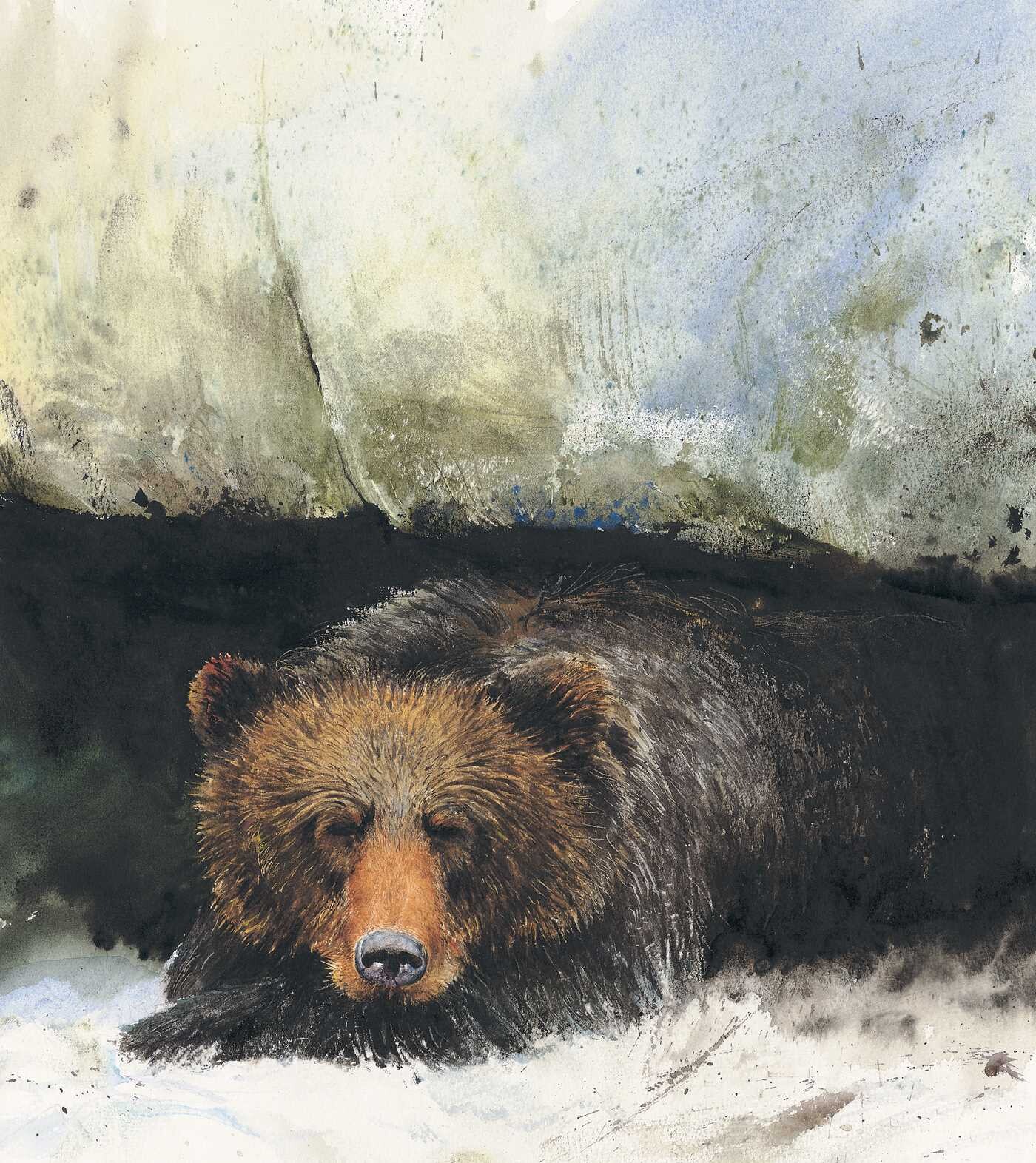 Woman who married a Bear
