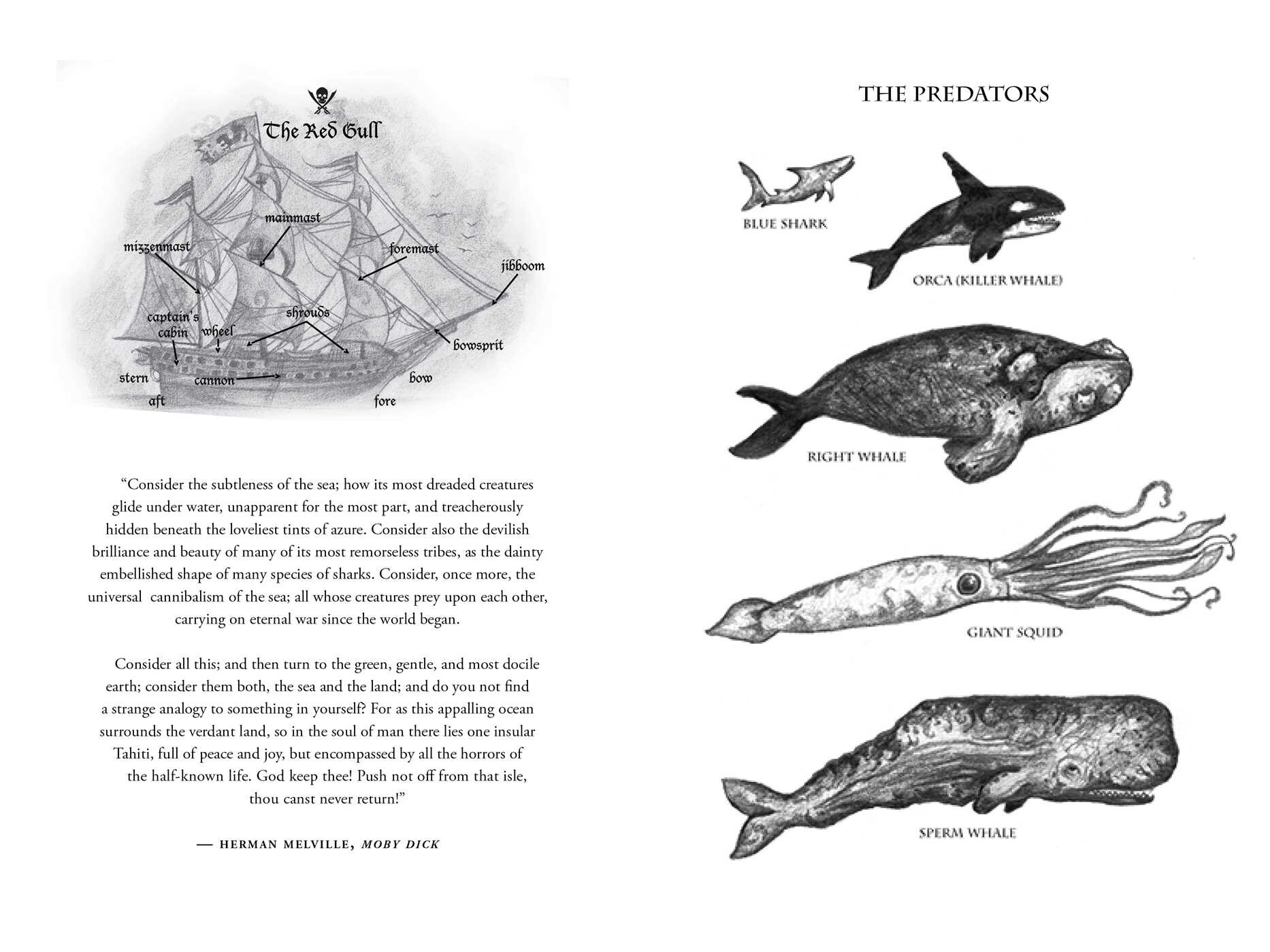 Whalemaster
