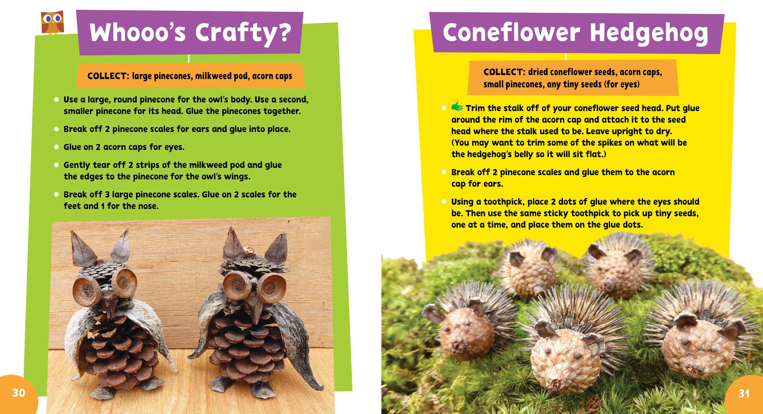 Super Simple Crafts: Sticks and Stones