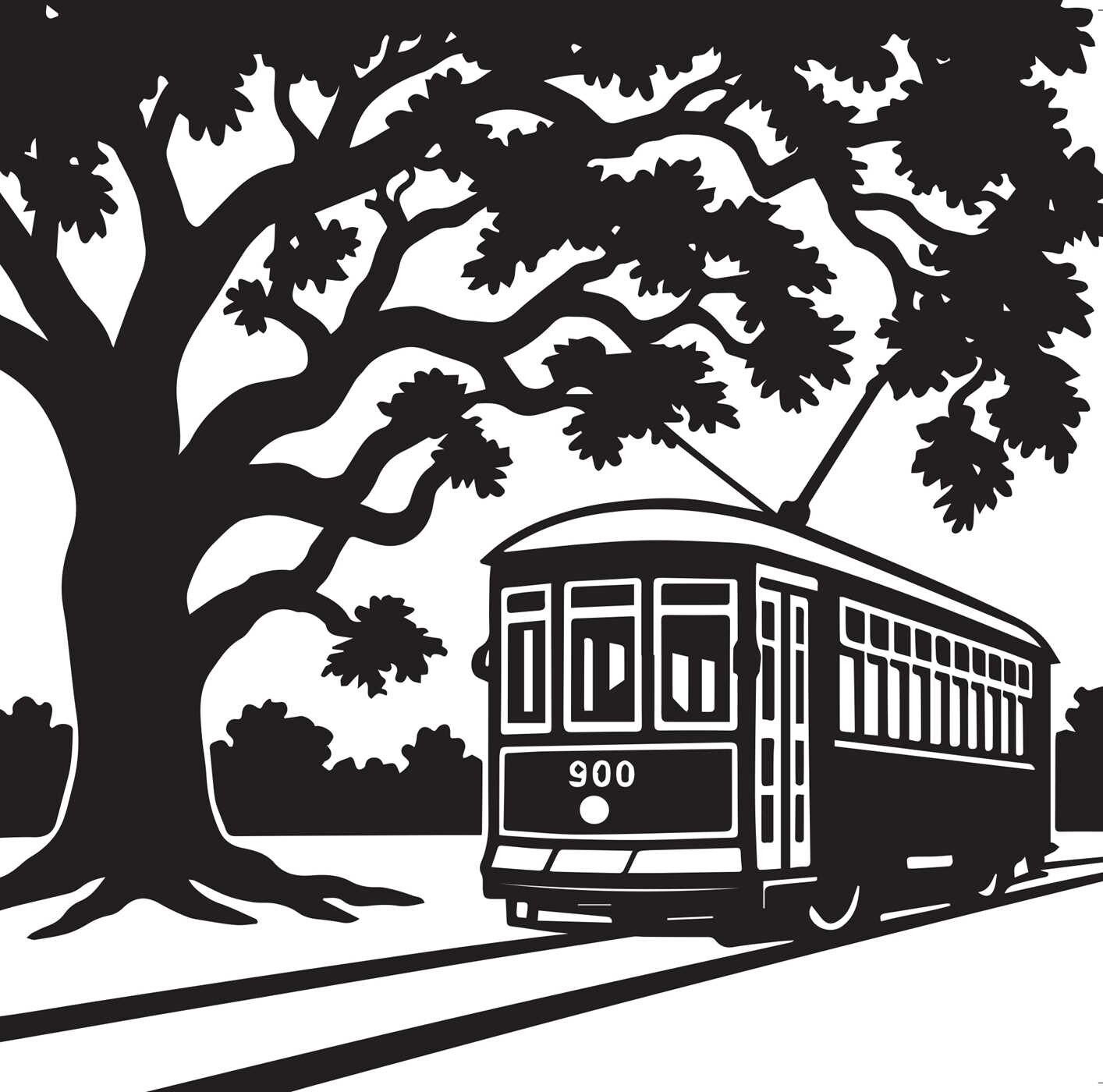 Patterns of New Orleans