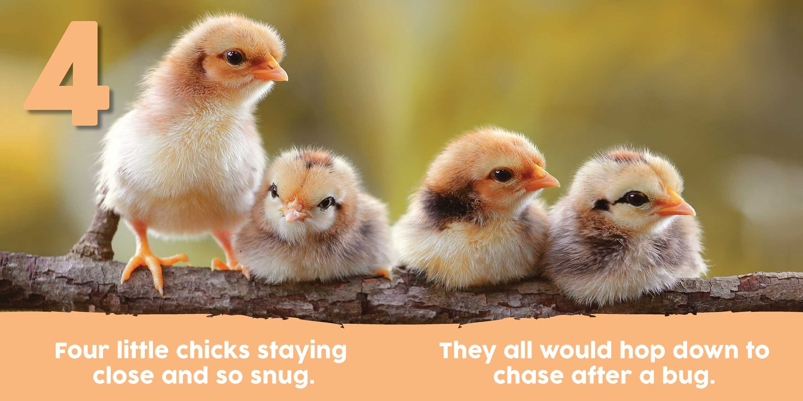 Baby Animals First 123 Book eBook by Alexandra Claire Official