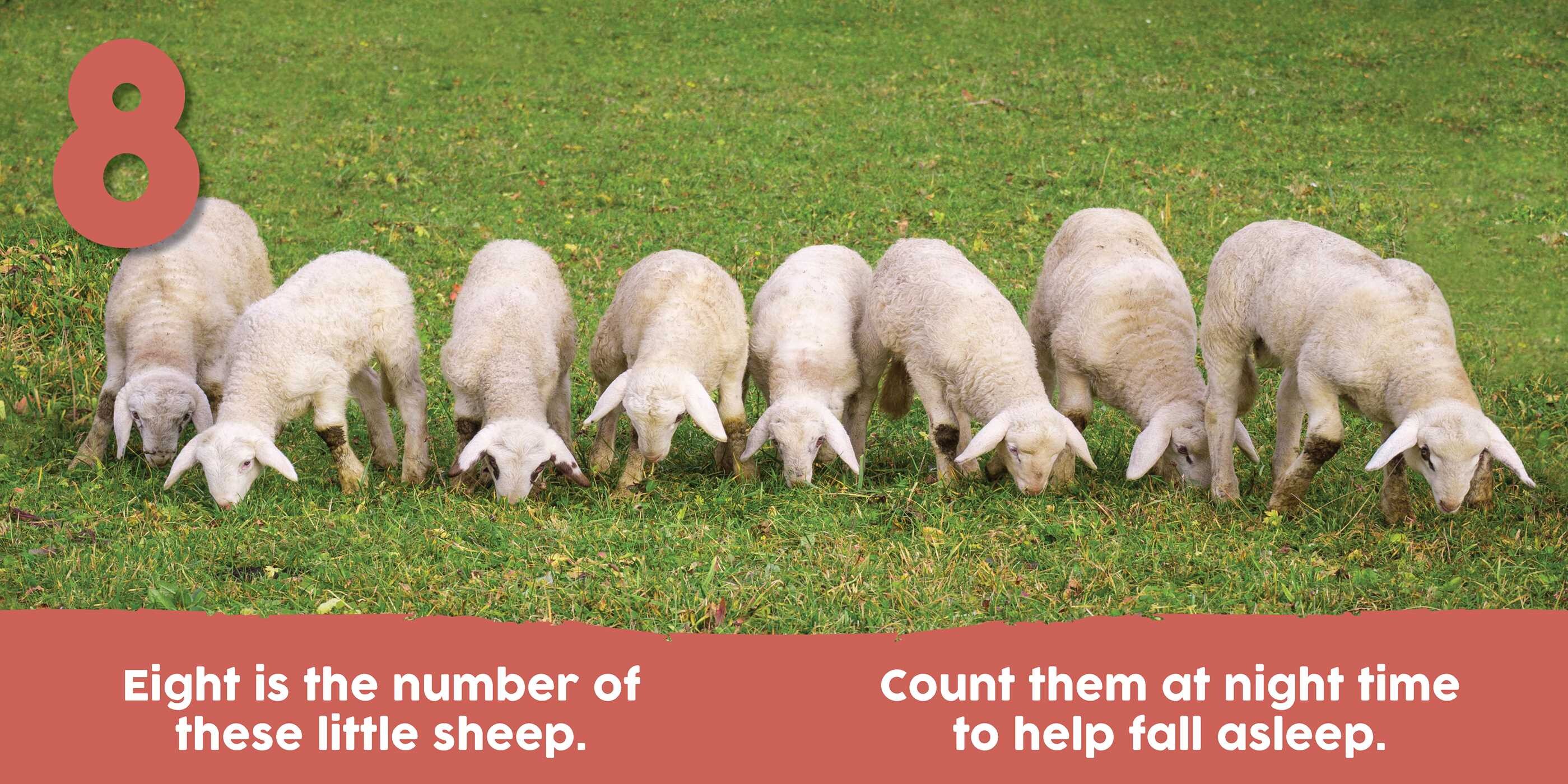 Baby Animals First 123 Book eBook by Alexandra Claire Official