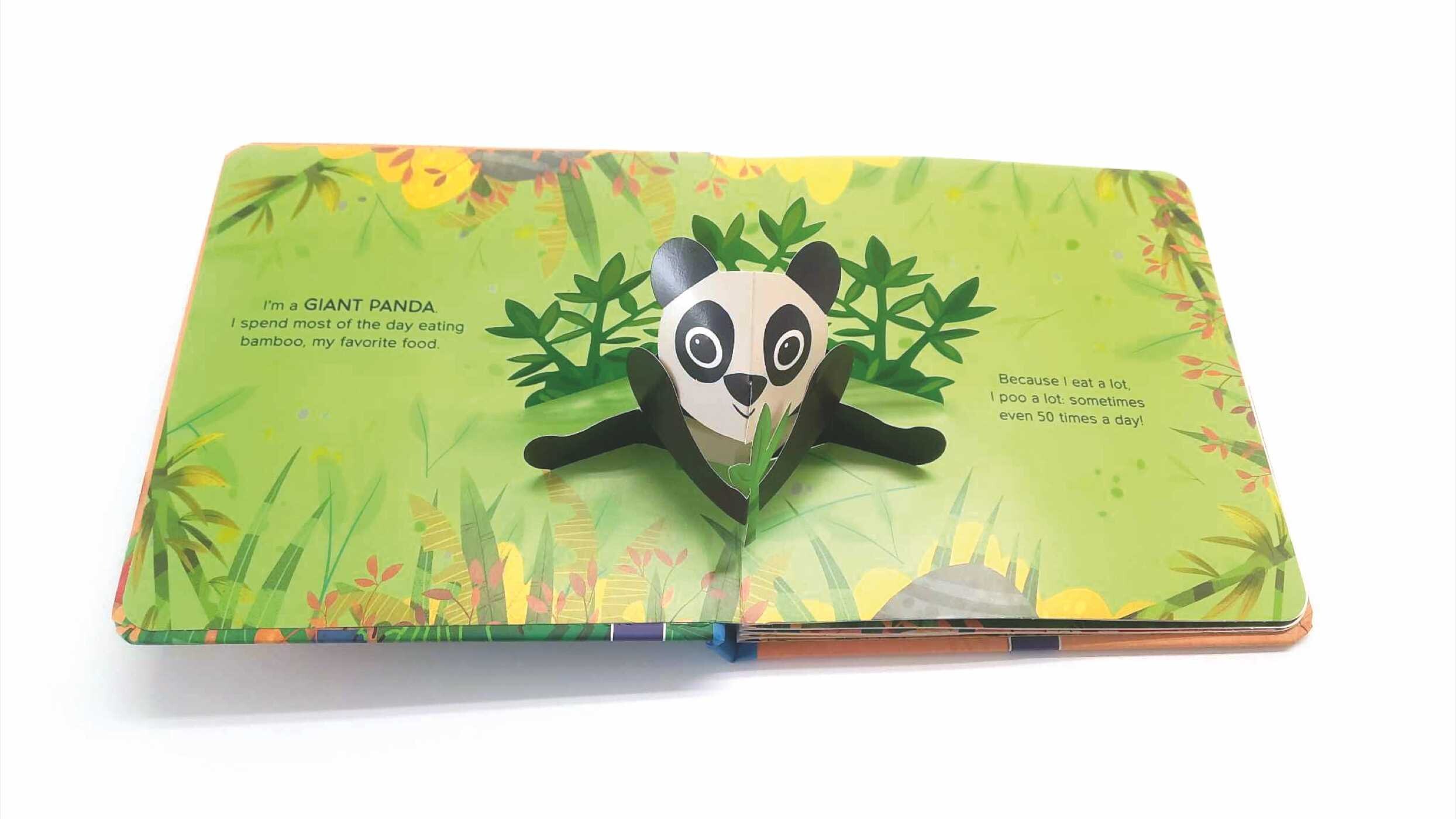 Get Up, Stand Up, Pop-Ups - Wild Animals