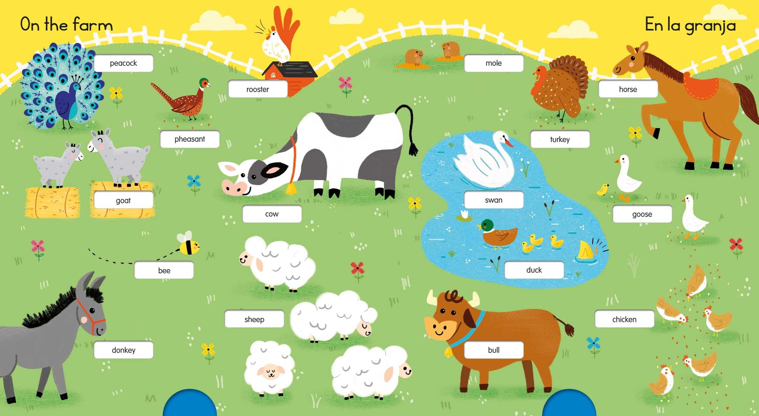 My 100 First Spanish Words - Pull Tab - Animals | Book by Little Genius ...