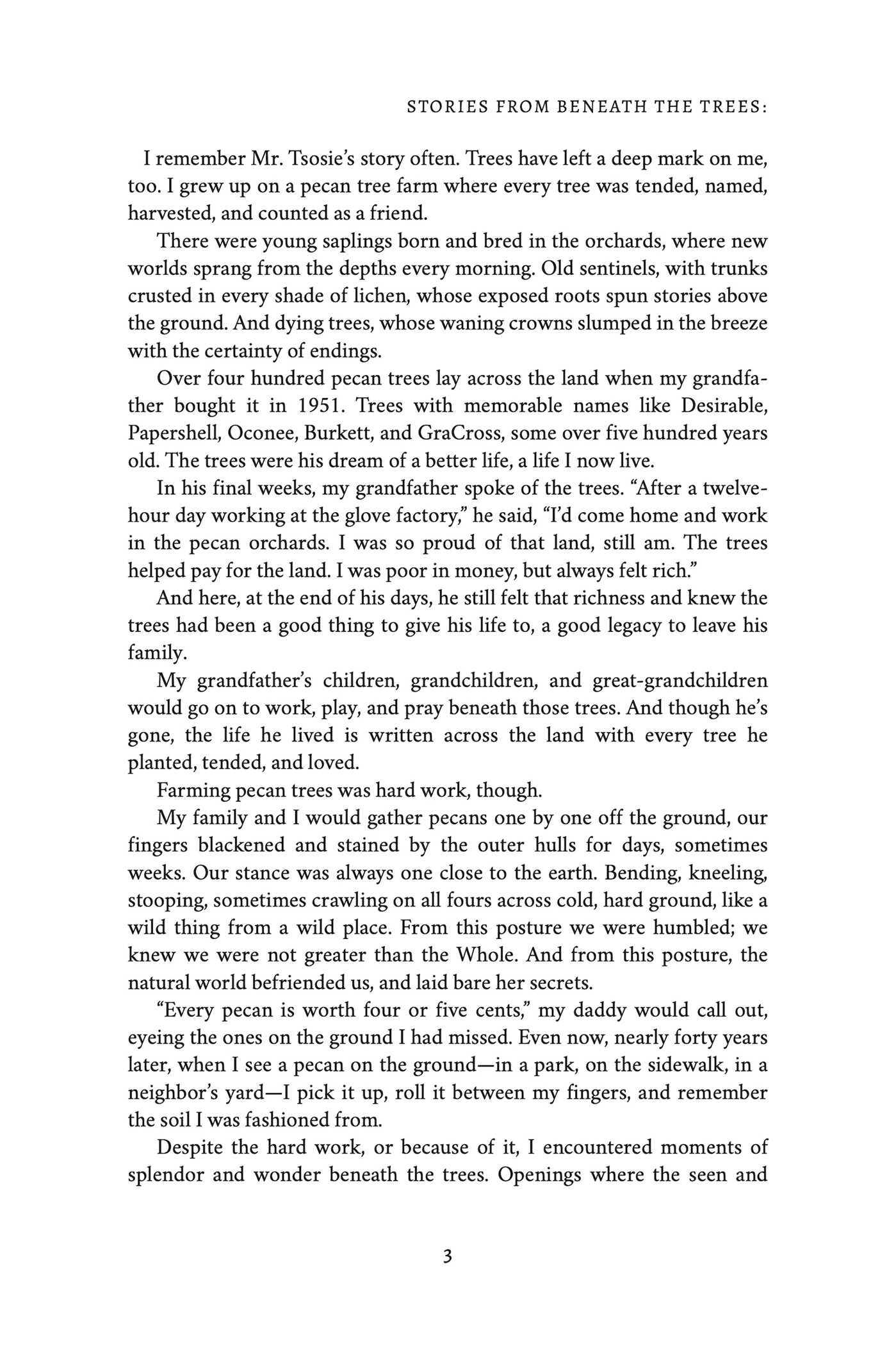 Stories from Beneath the Trees