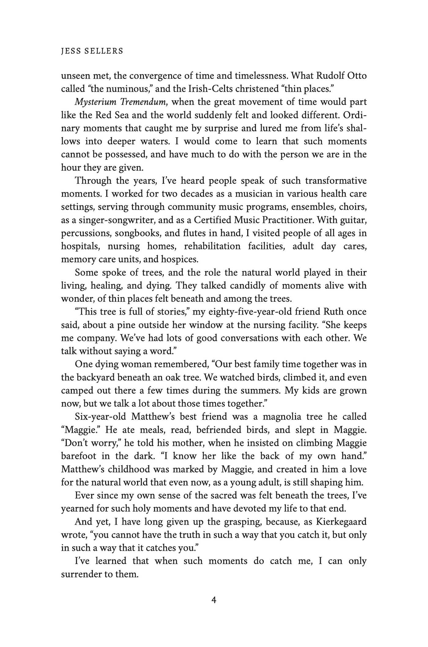 Stories from Beneath the Trees