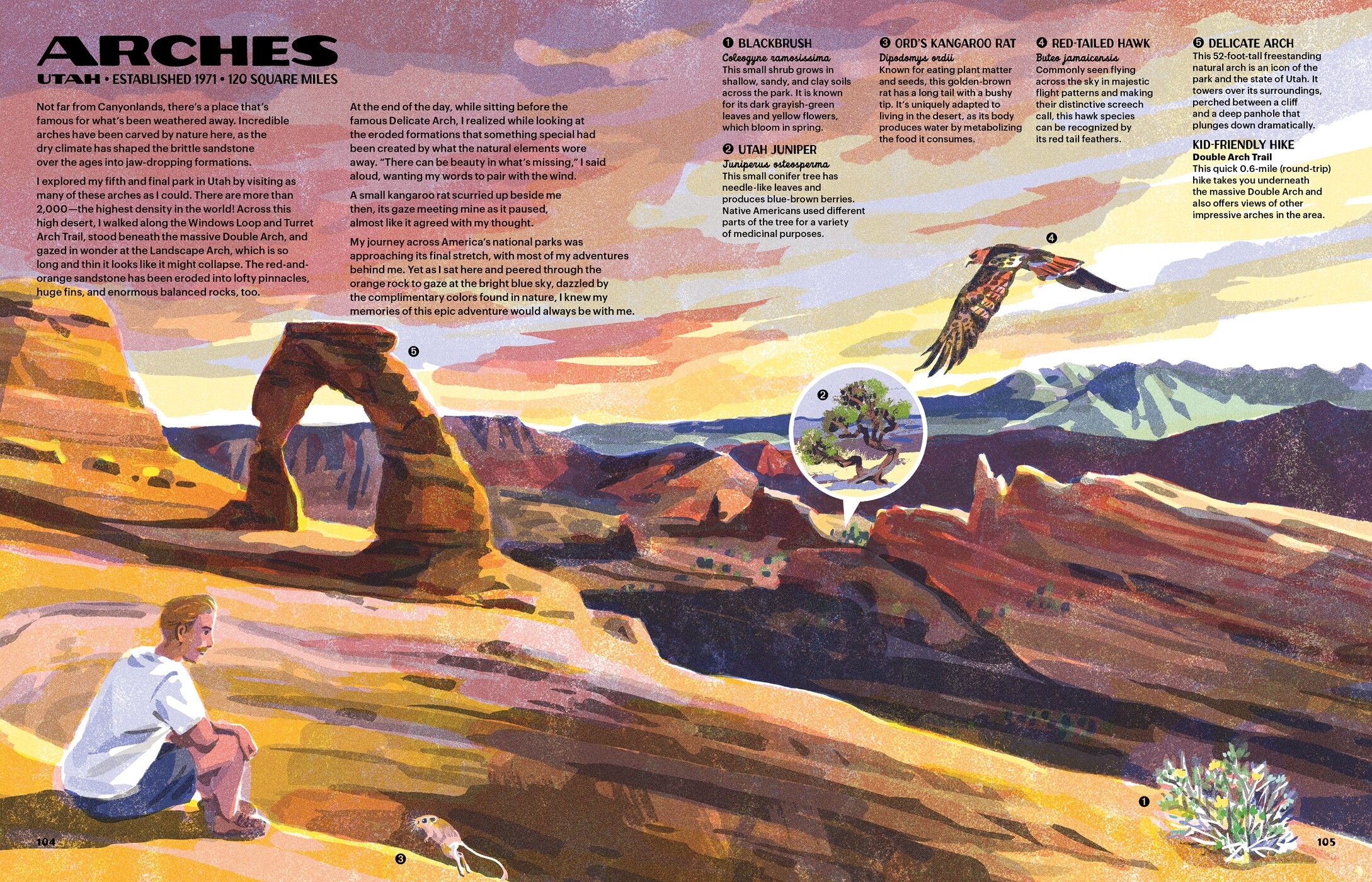 Nature of Our National Parks