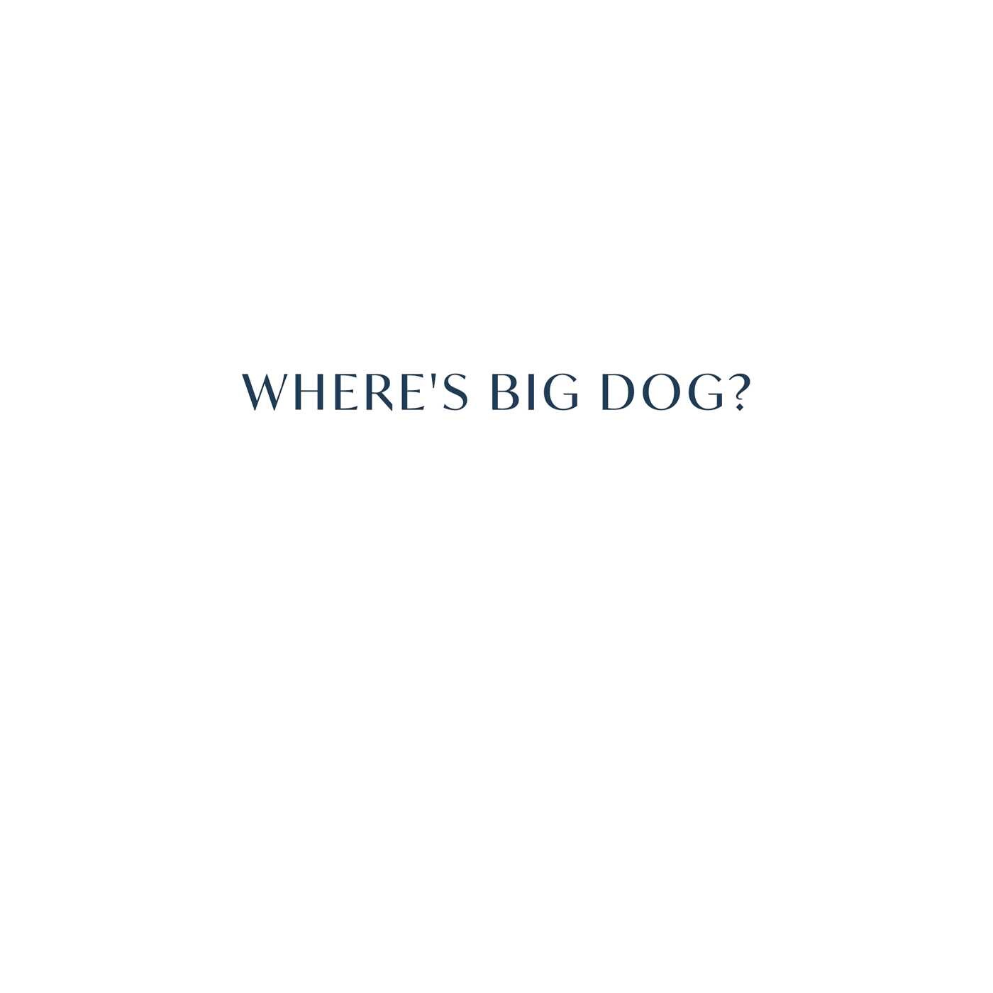 Where's Big Dog?