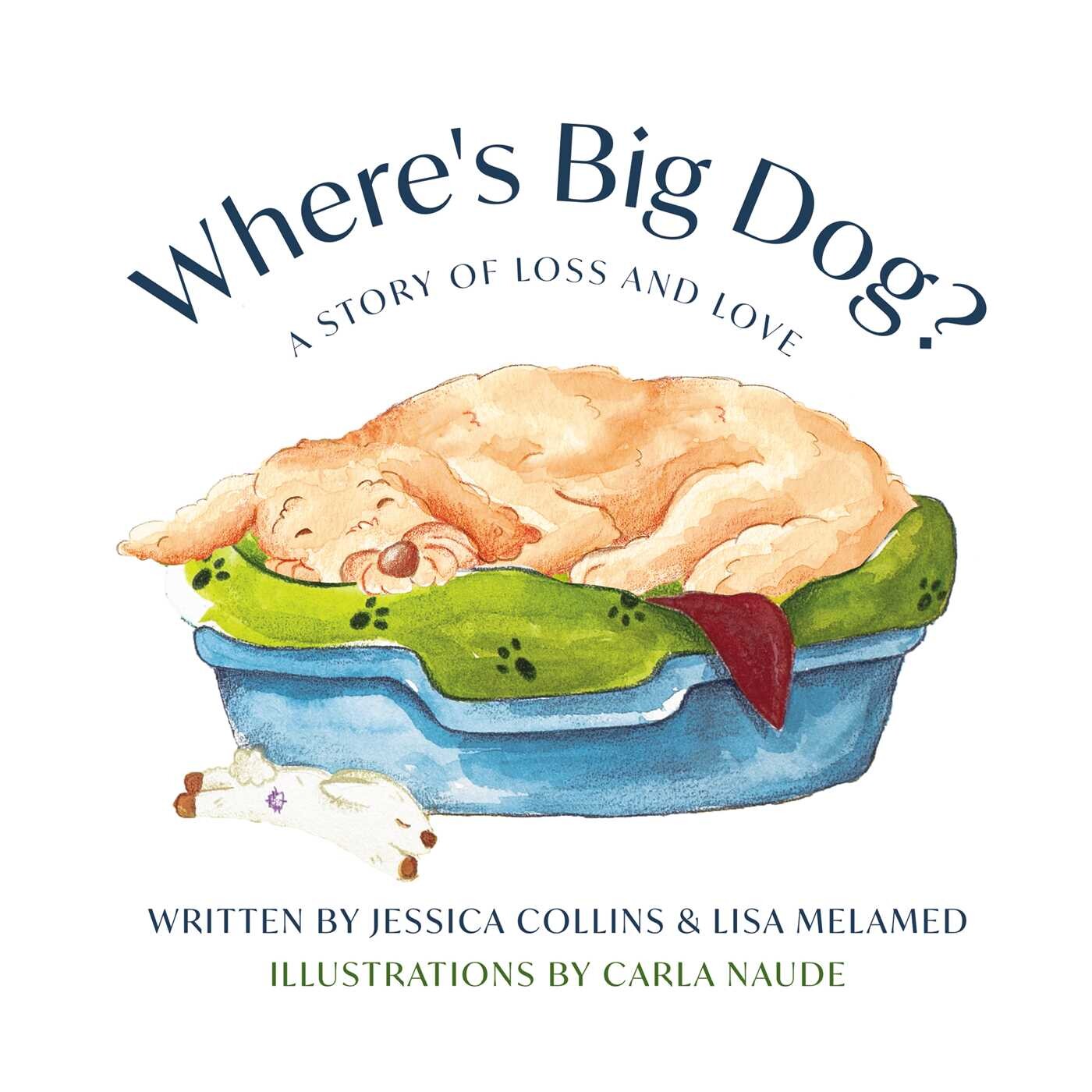 Where's Big Dog?