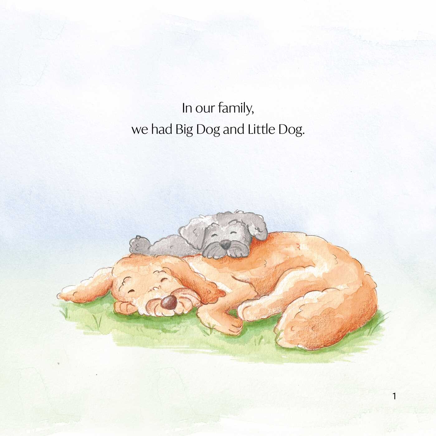 Where's Big Dog?