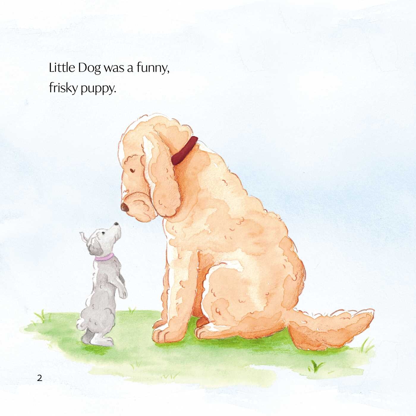 Where's Big Dog?