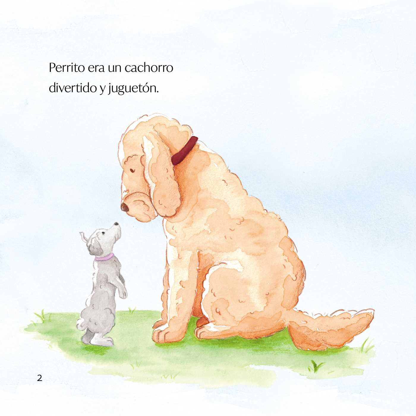 ¿Dónde está Perro Grande?