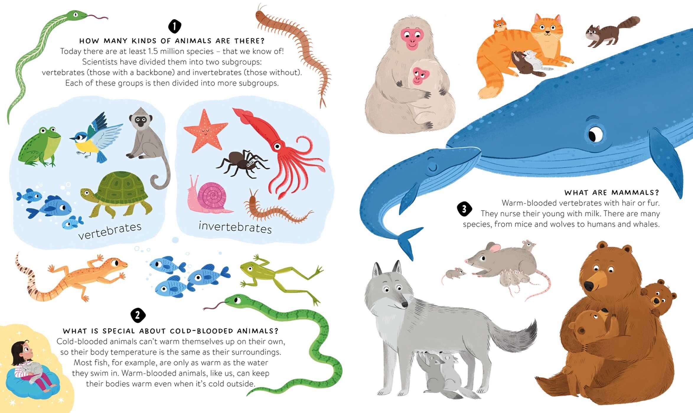 101 Questions & Answers - Animals