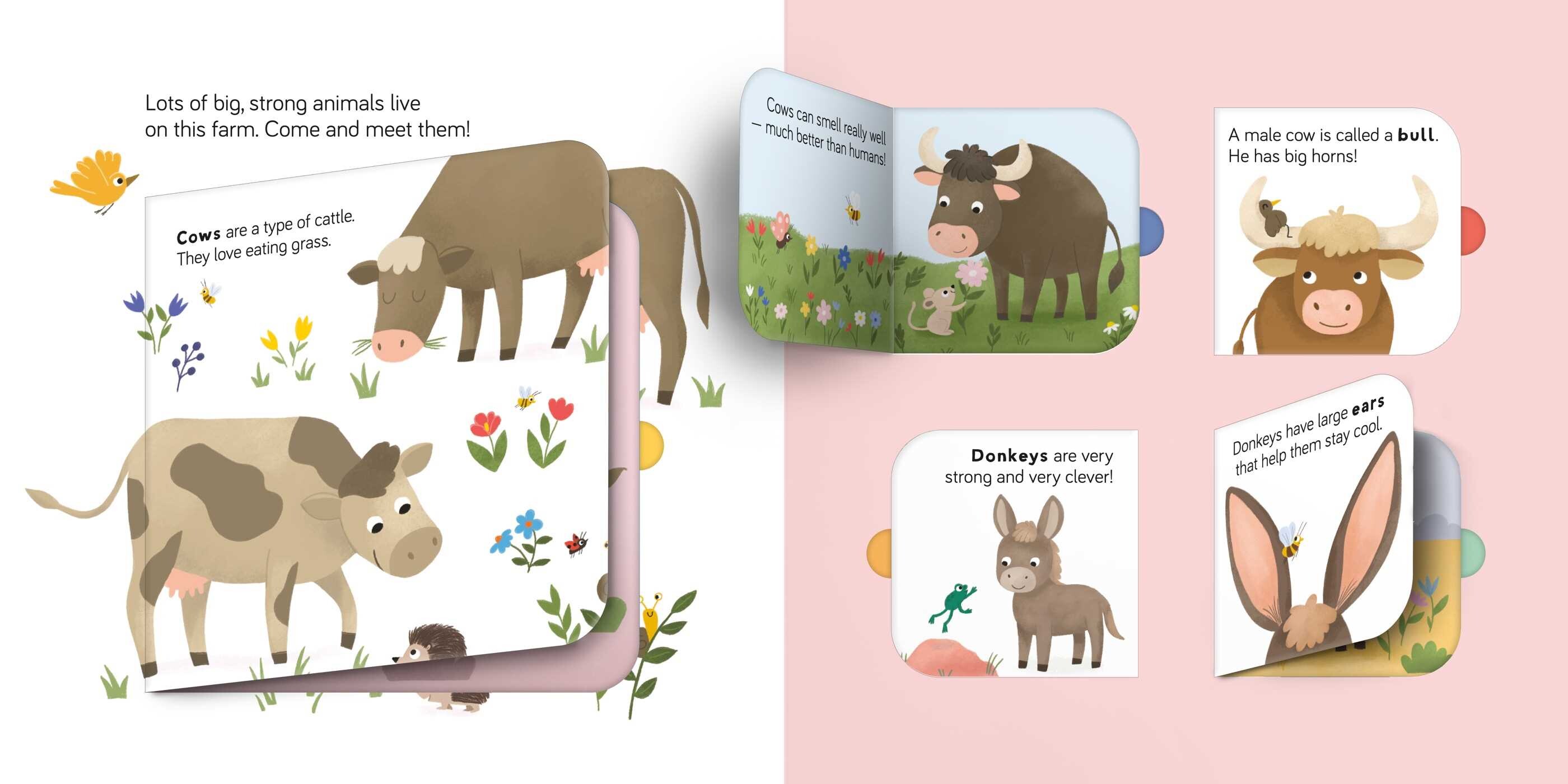 Fun Facts For Toddlers - On The Farm