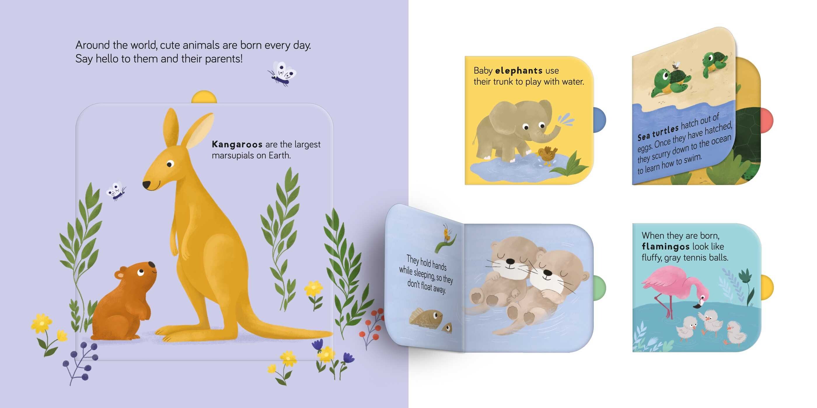 Fun Facts For Toddlers - Wild Animals