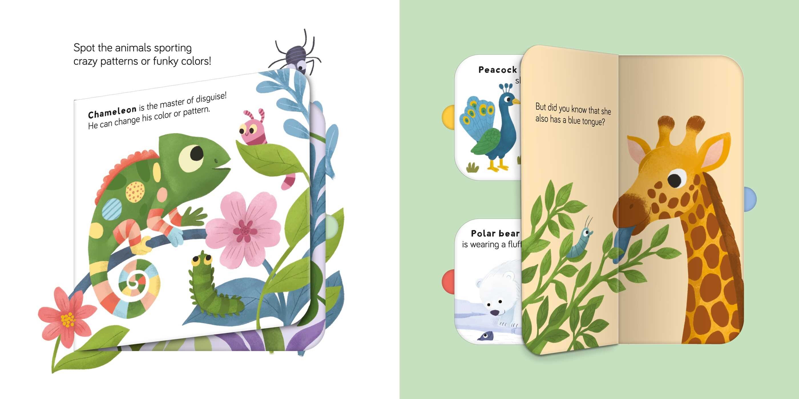 Fun Facts For Toddlers - Wild Animals