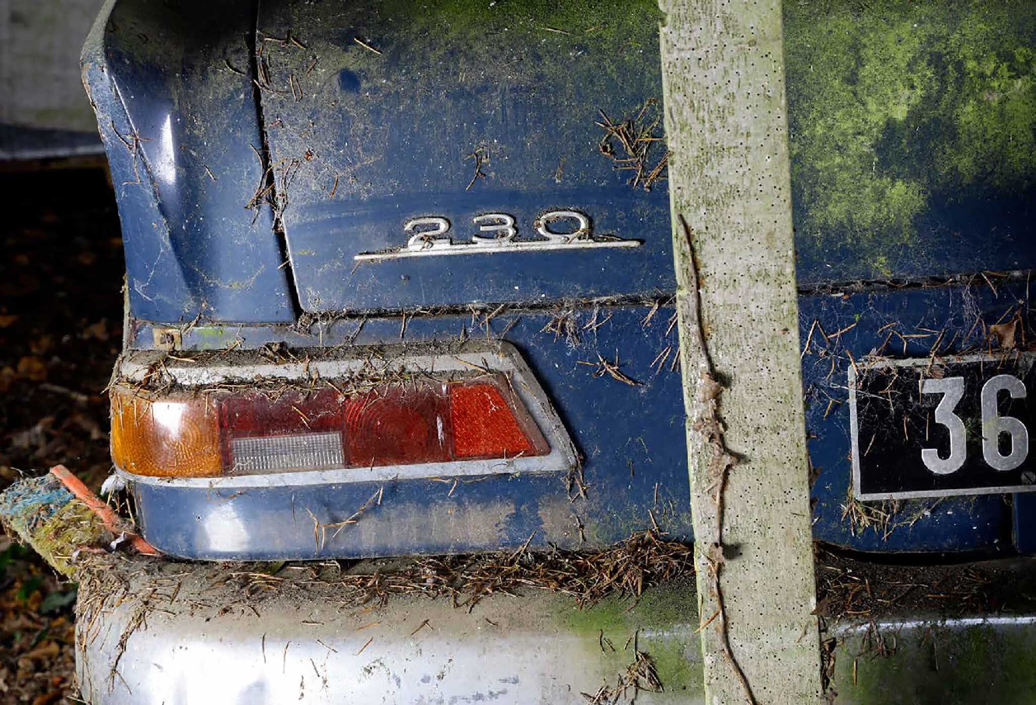 Fabulous Forgotten Collections