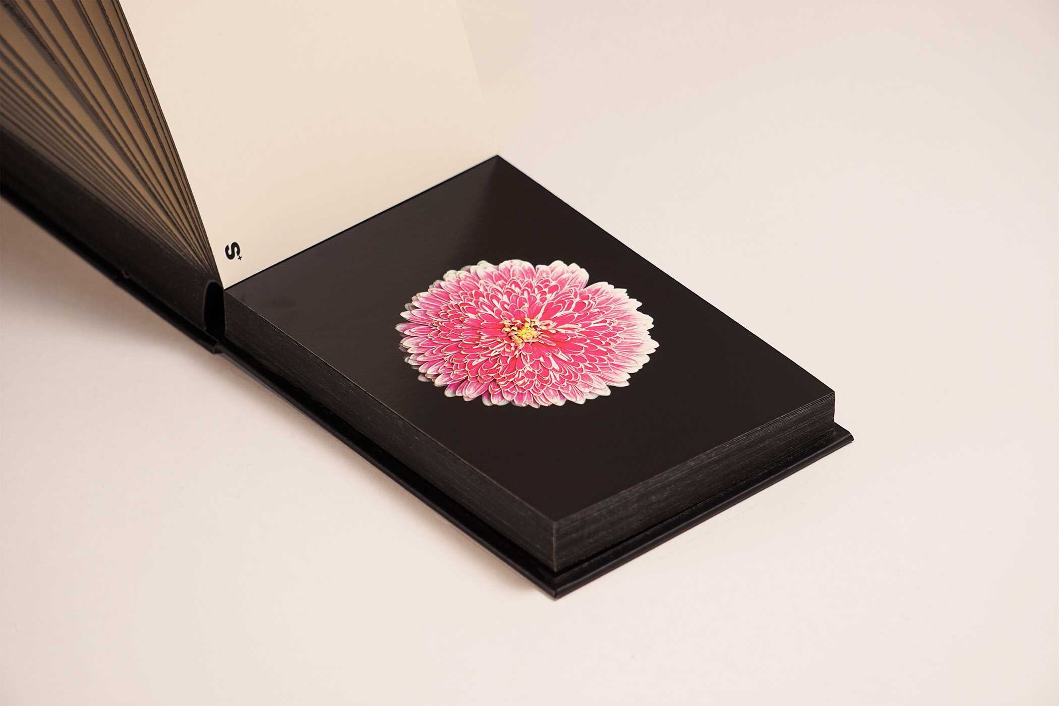 Blooming Book