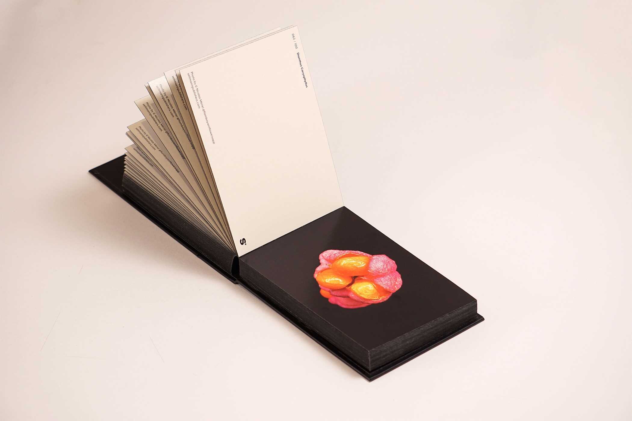 Blooming Book