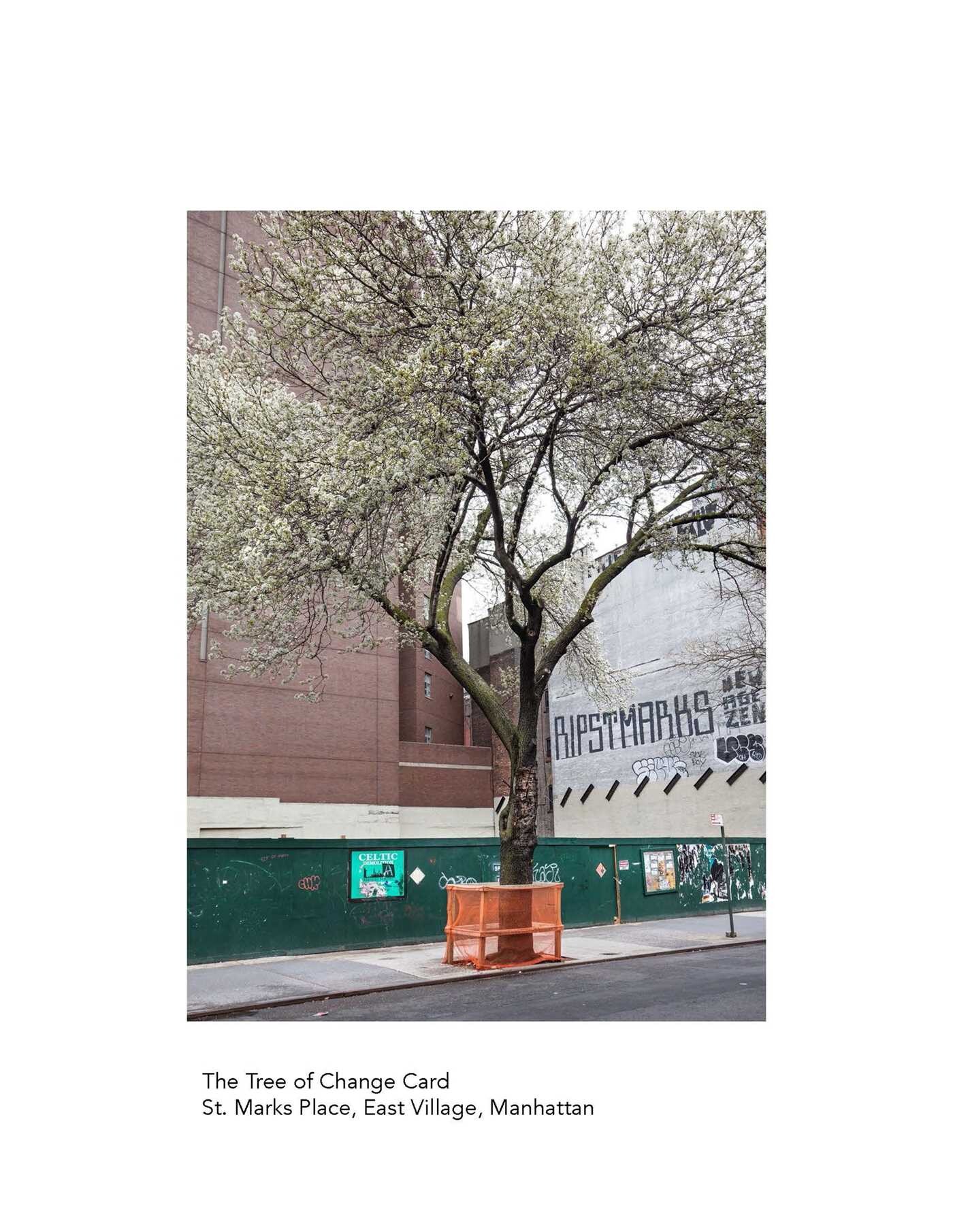 New York City Street Tree Tarot