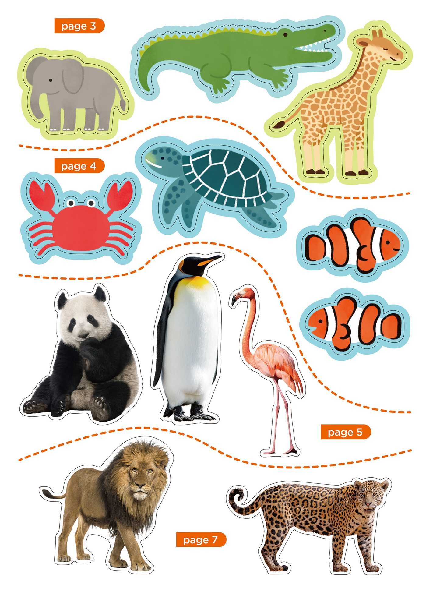 My First Sticker Activity Book  Animals