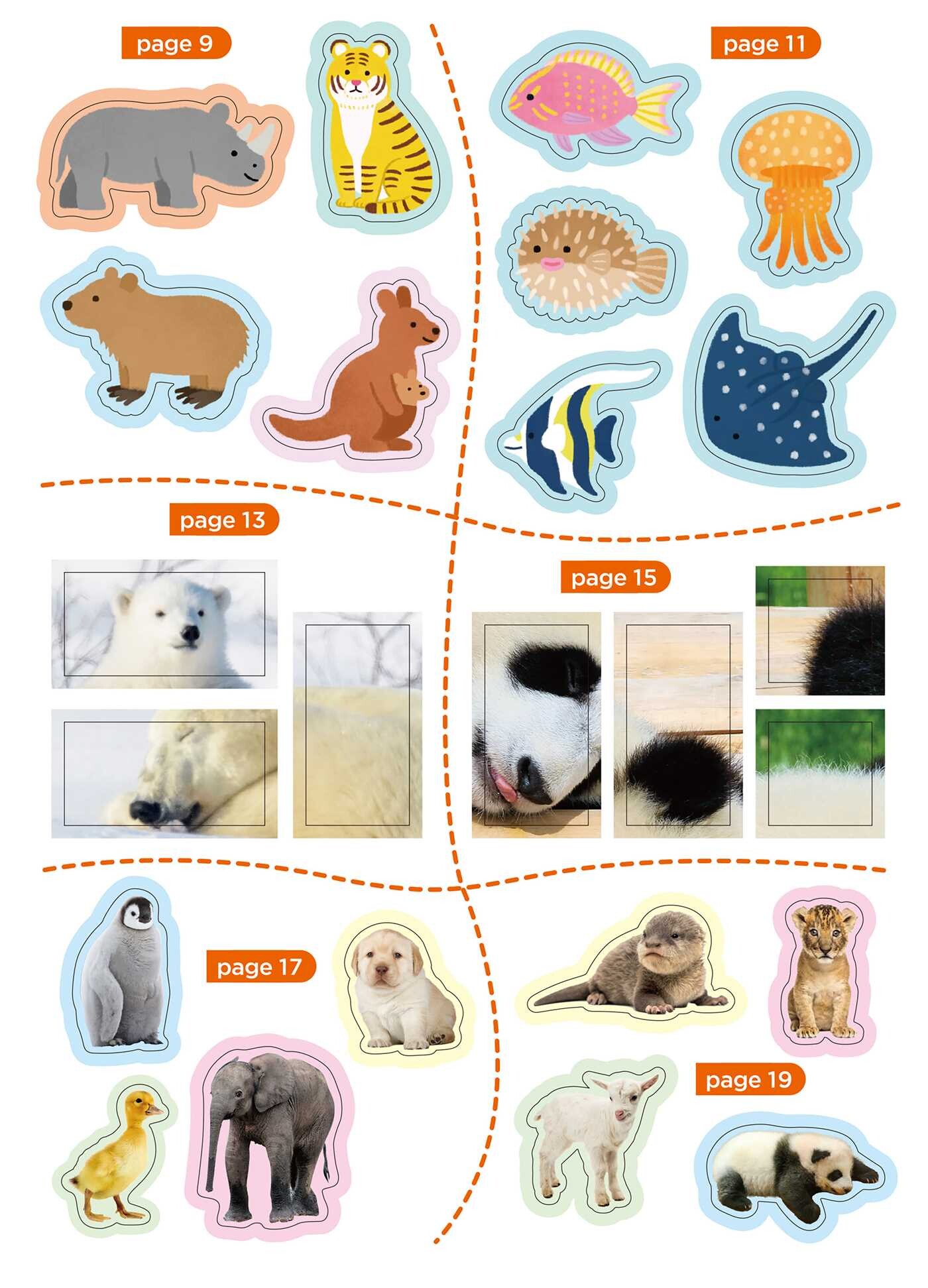 My First Sticker Activity Book  Animals