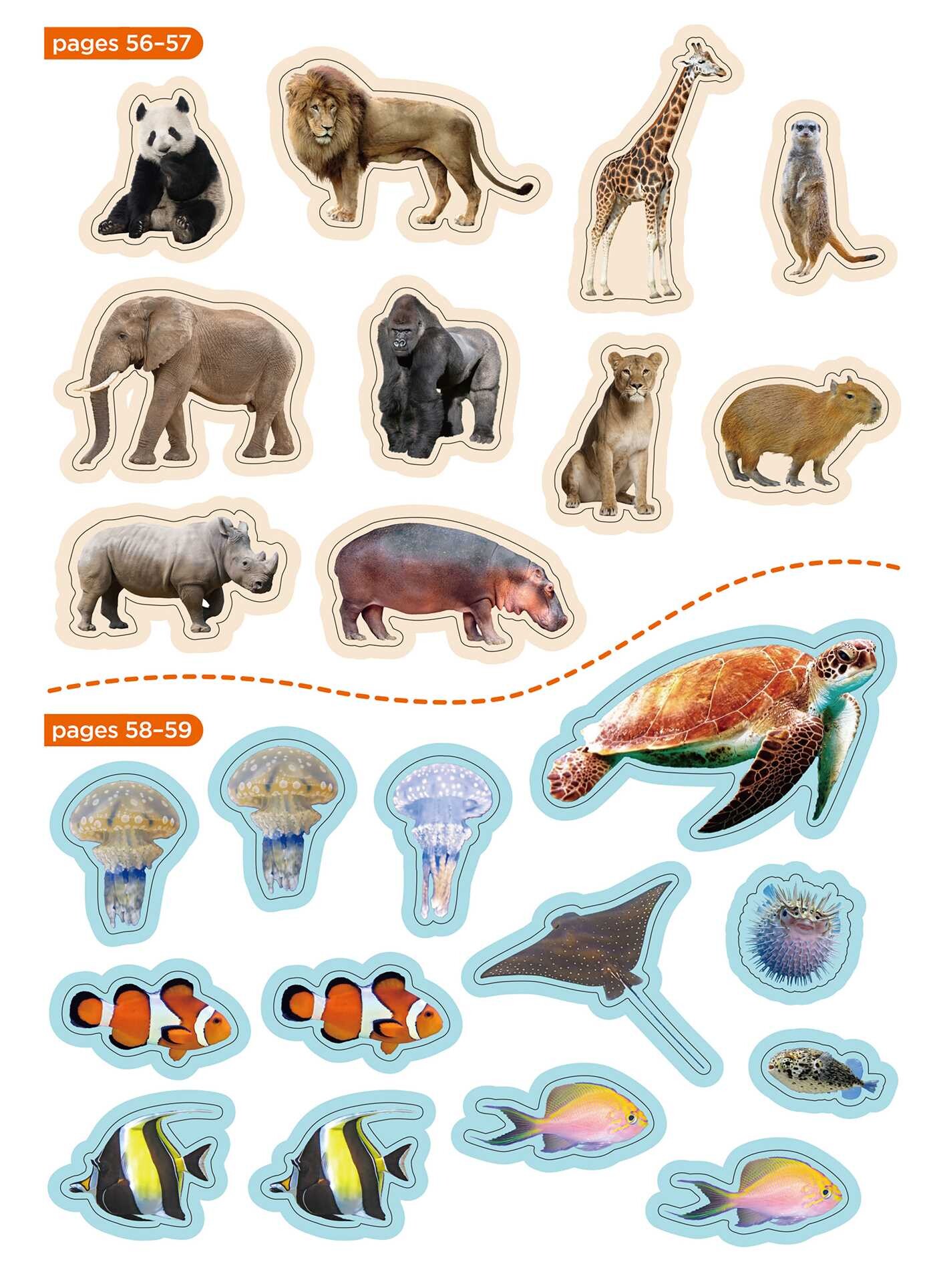 My First Sticker Activity Book  Animals