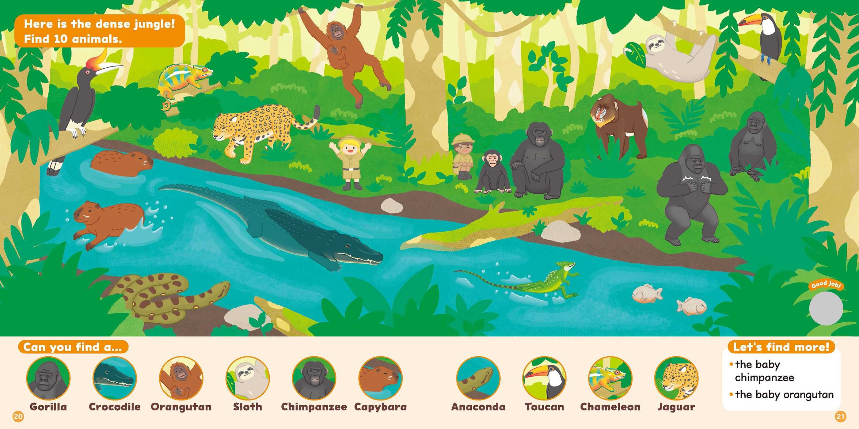 SEEK, FIND, FUN! Animals