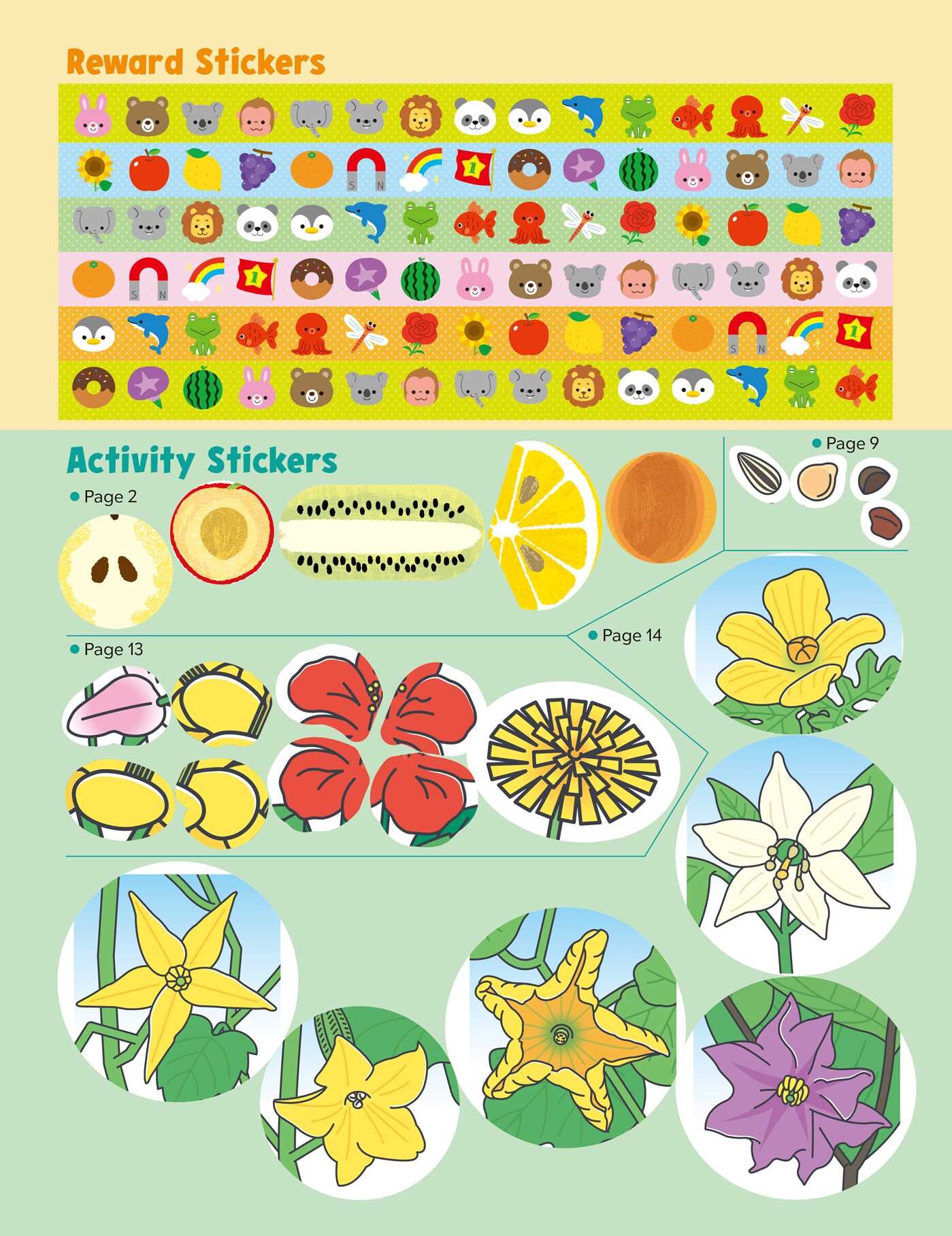 Play Smart Science Skill Builders