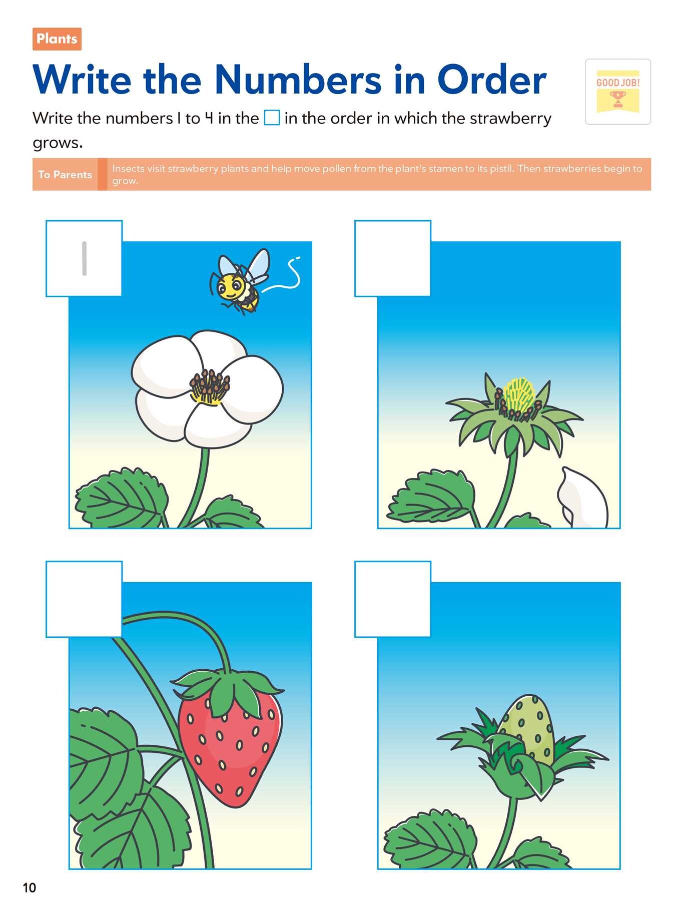 Play Smart Science Skill Builders