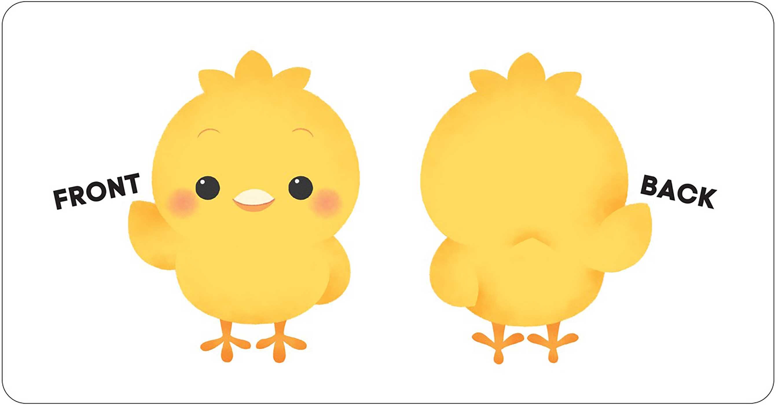 Play Smart Baby  OPPOSITES