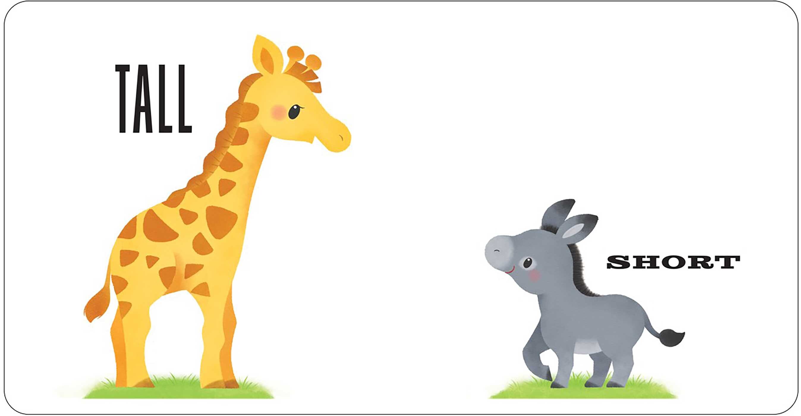 Play Smart Baby  OPPOSITES