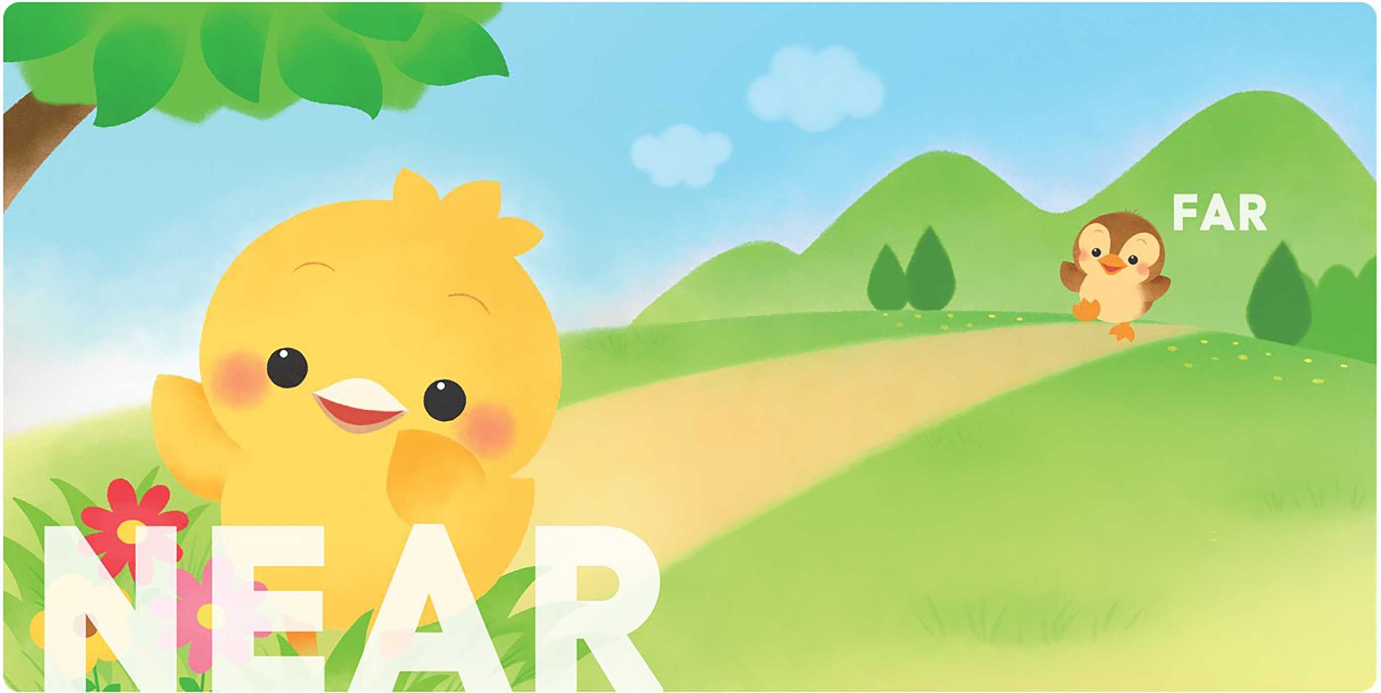 Play Smart Baby  OPPOSITES