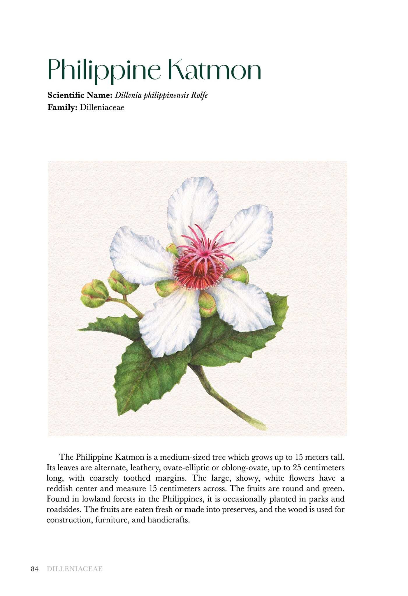 Flowers of the Philippines