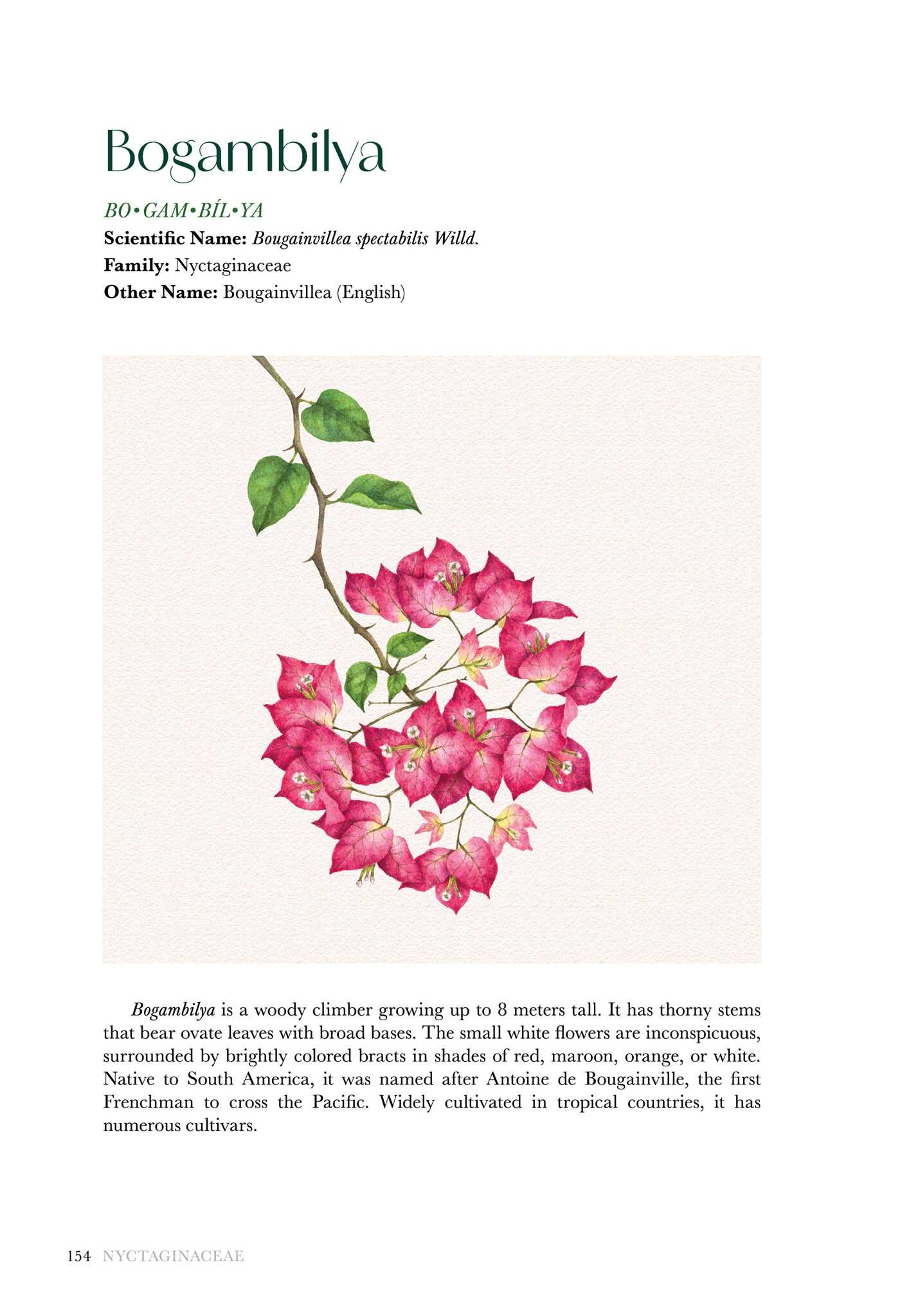 Flowers of the Philippines