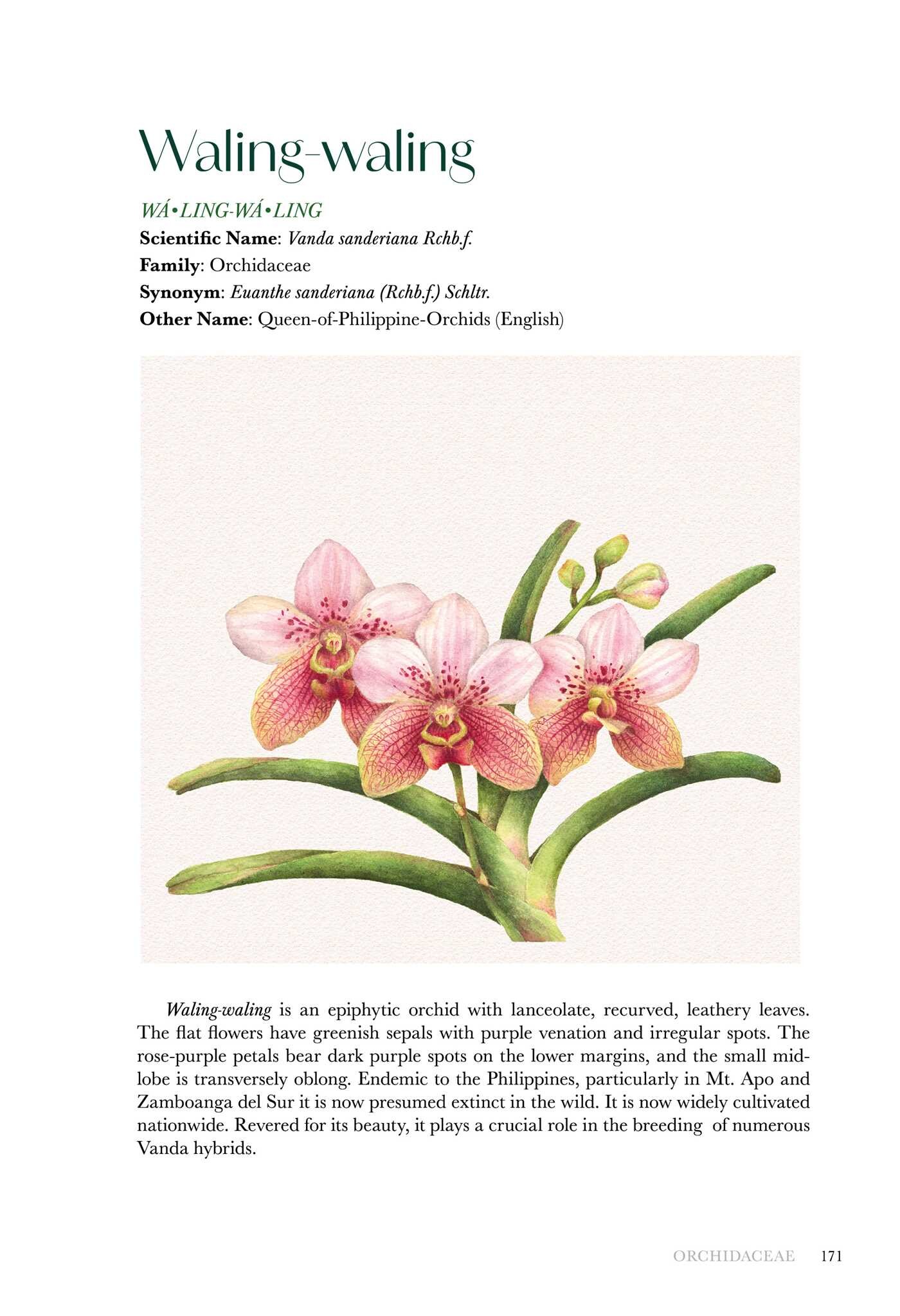 Flowers of the Philippines