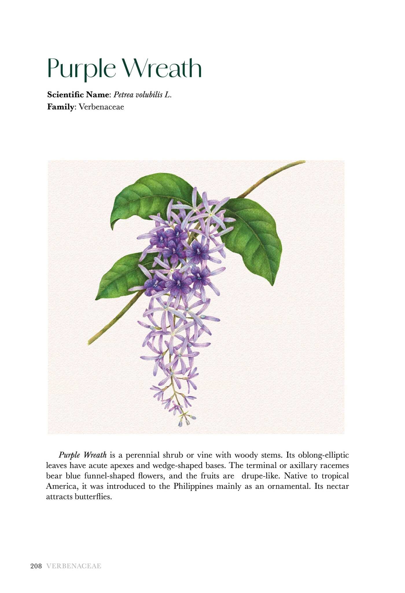 Flowers of the Philippines