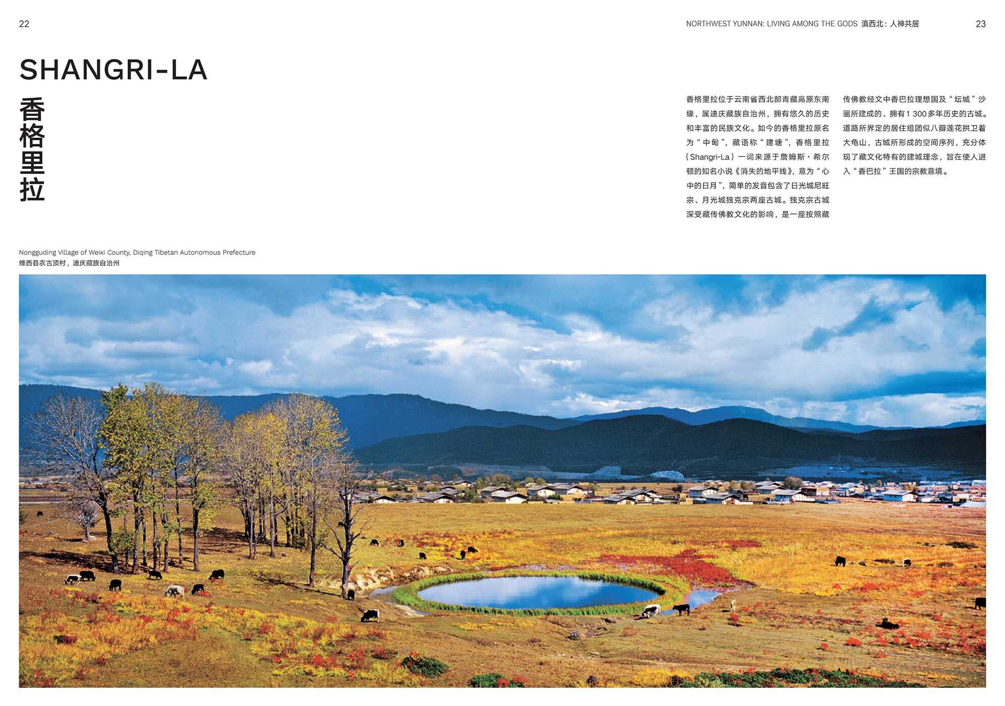 Fields of Being