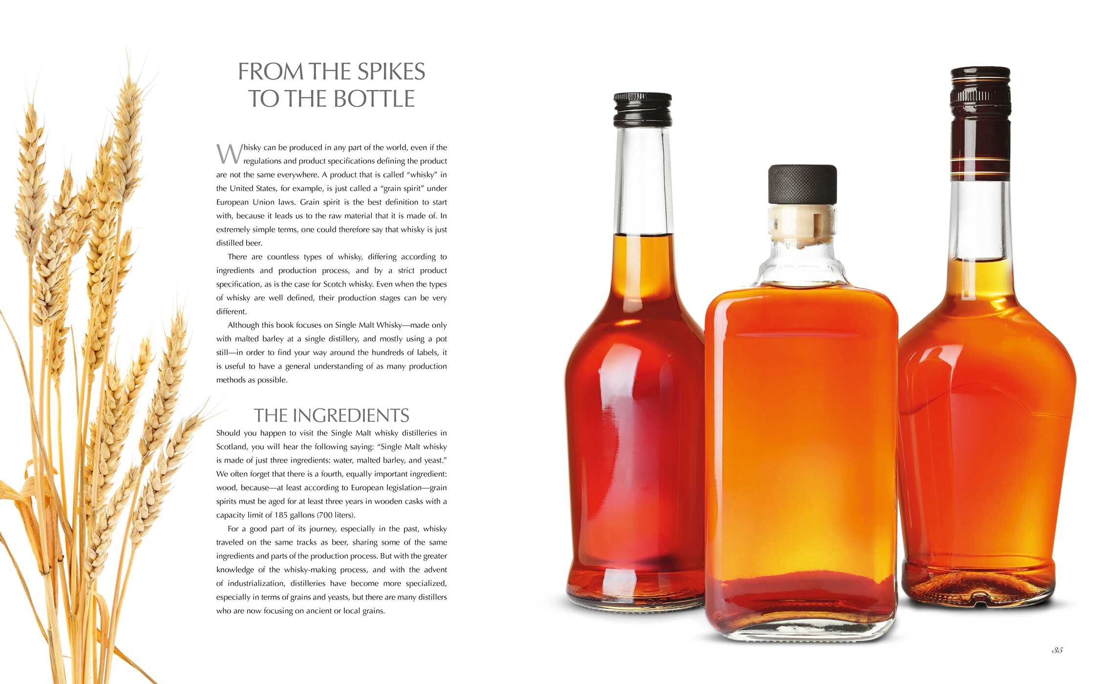 Whisky Sommelier