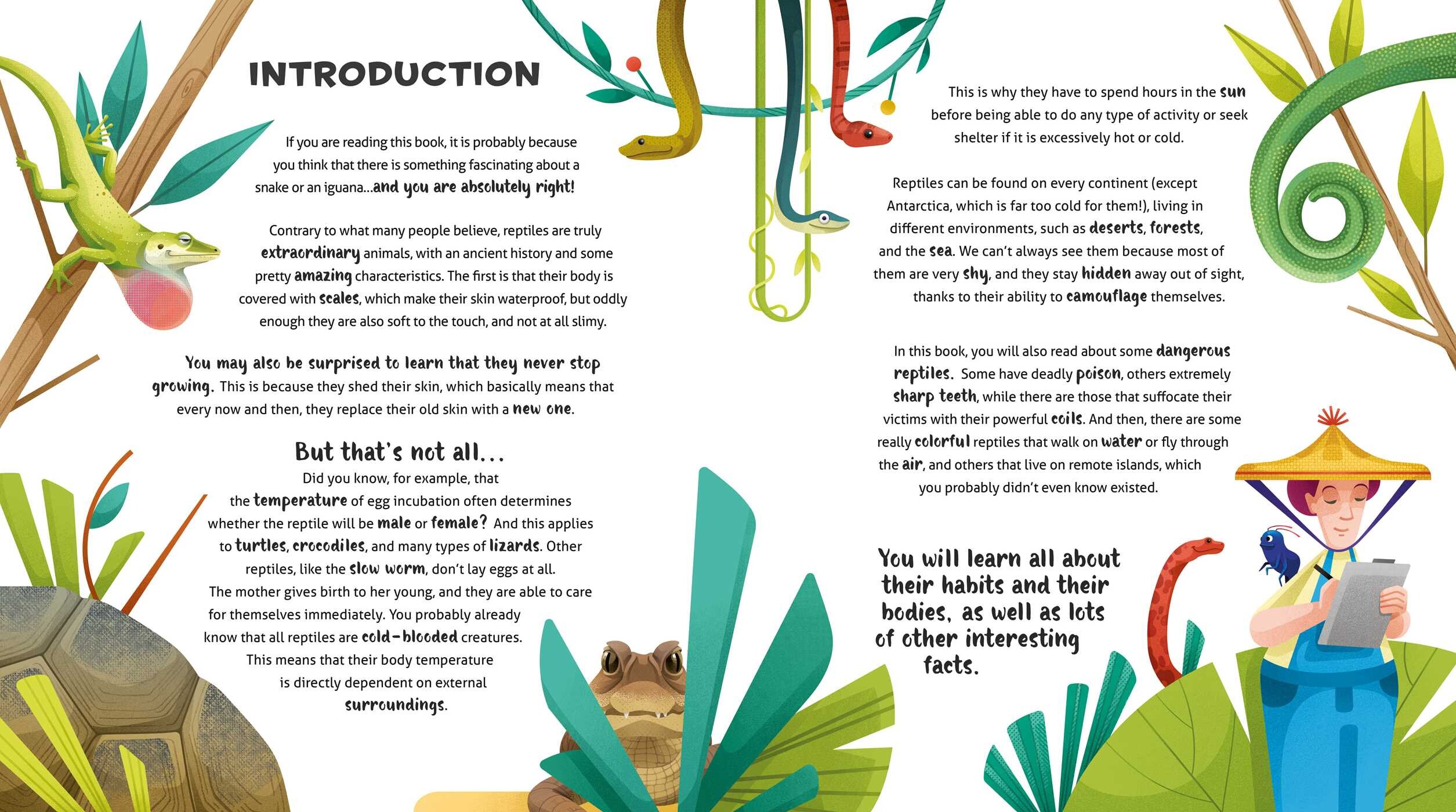 Amazing Catalog of Weirdest Reptiles