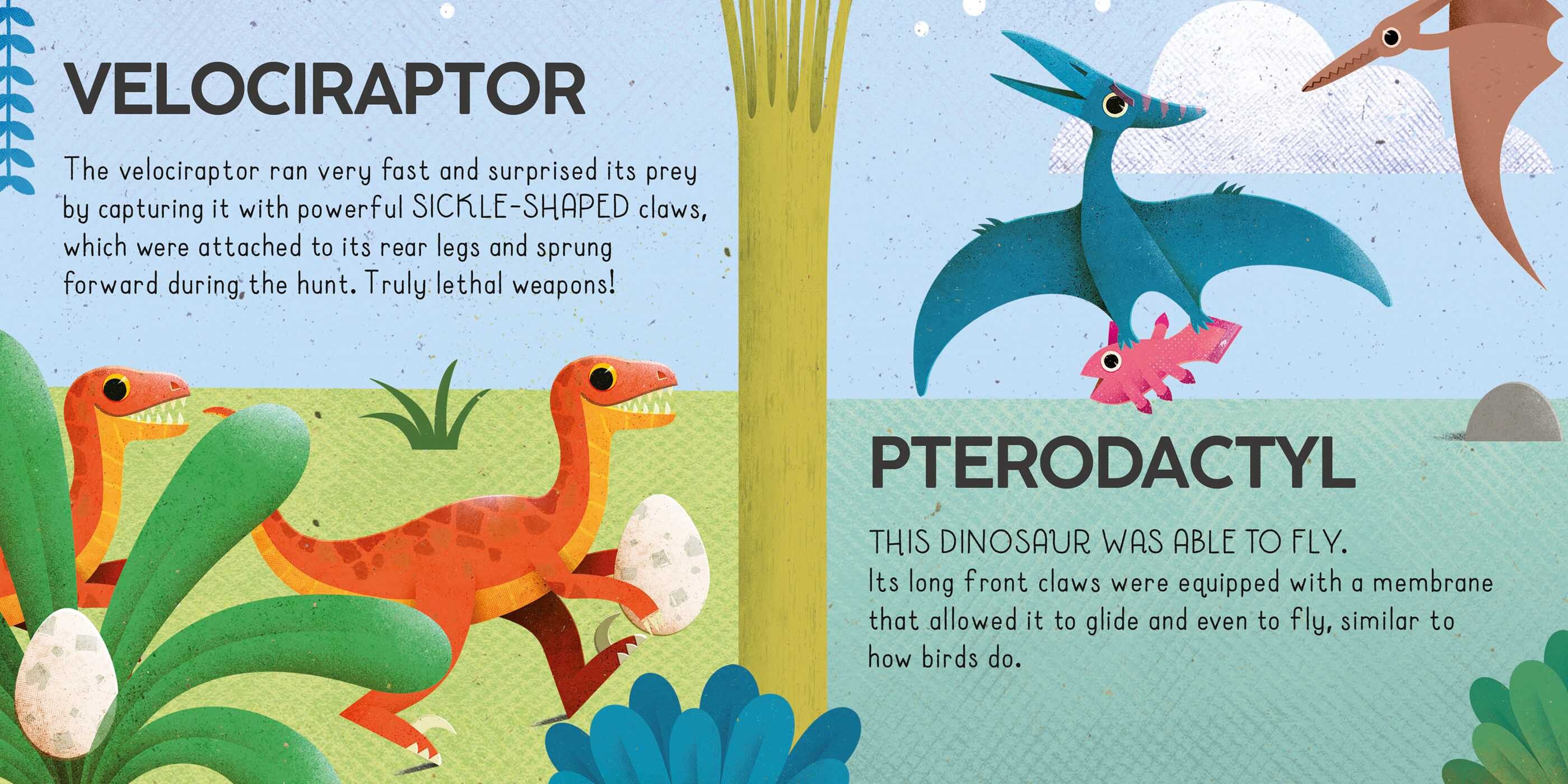 Dinosaur Adventure Fun Pack