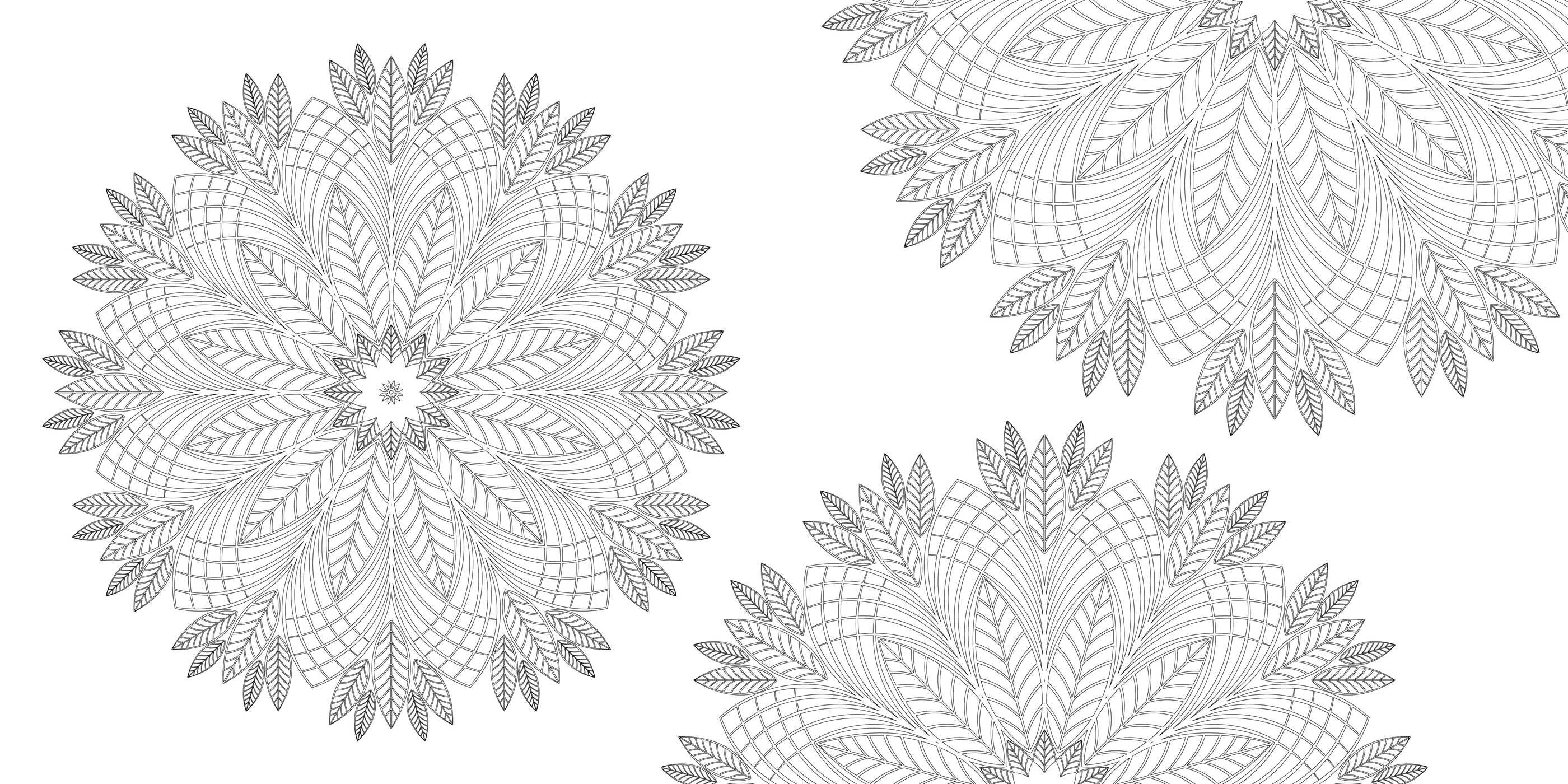 Mandala Coloring Book