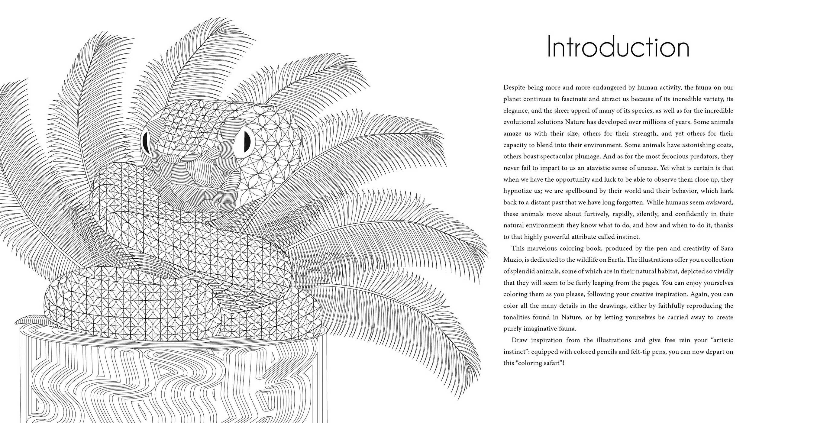 Wild Animals Coloring Book