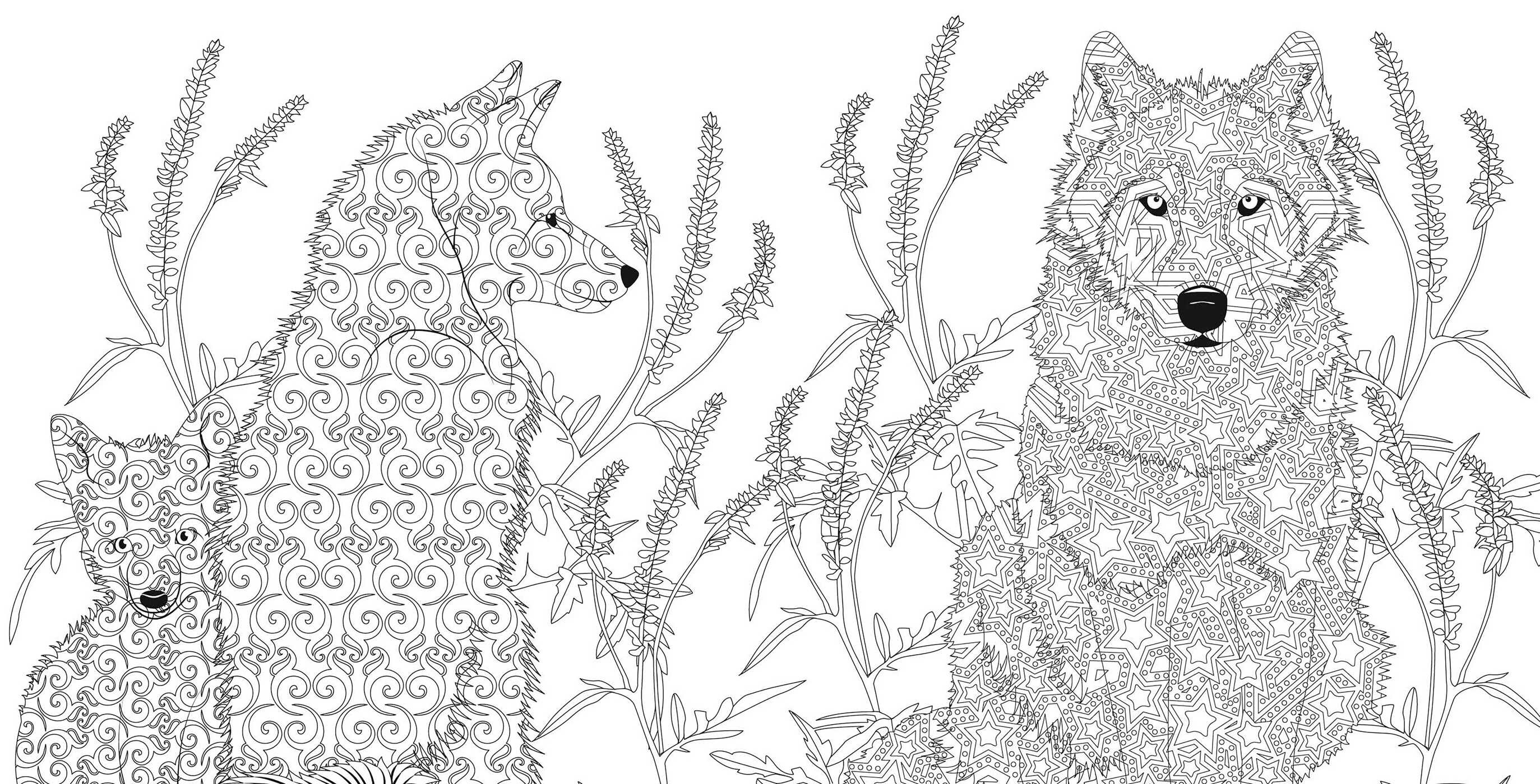 Wild Animals Coloring Book