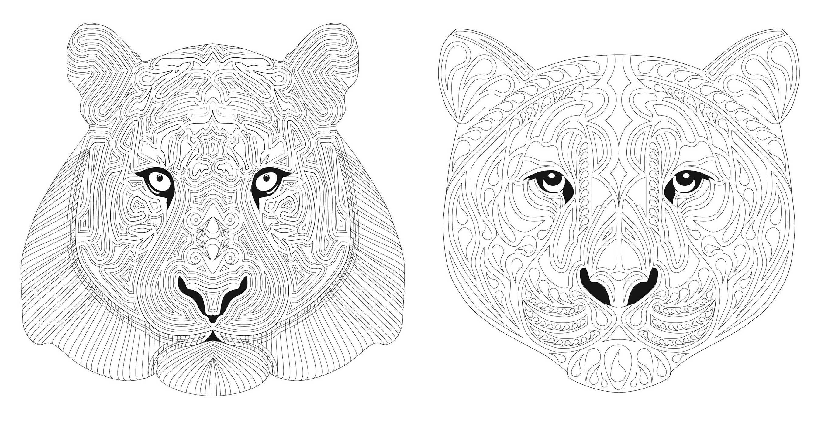 Wild Animals Coloring Book