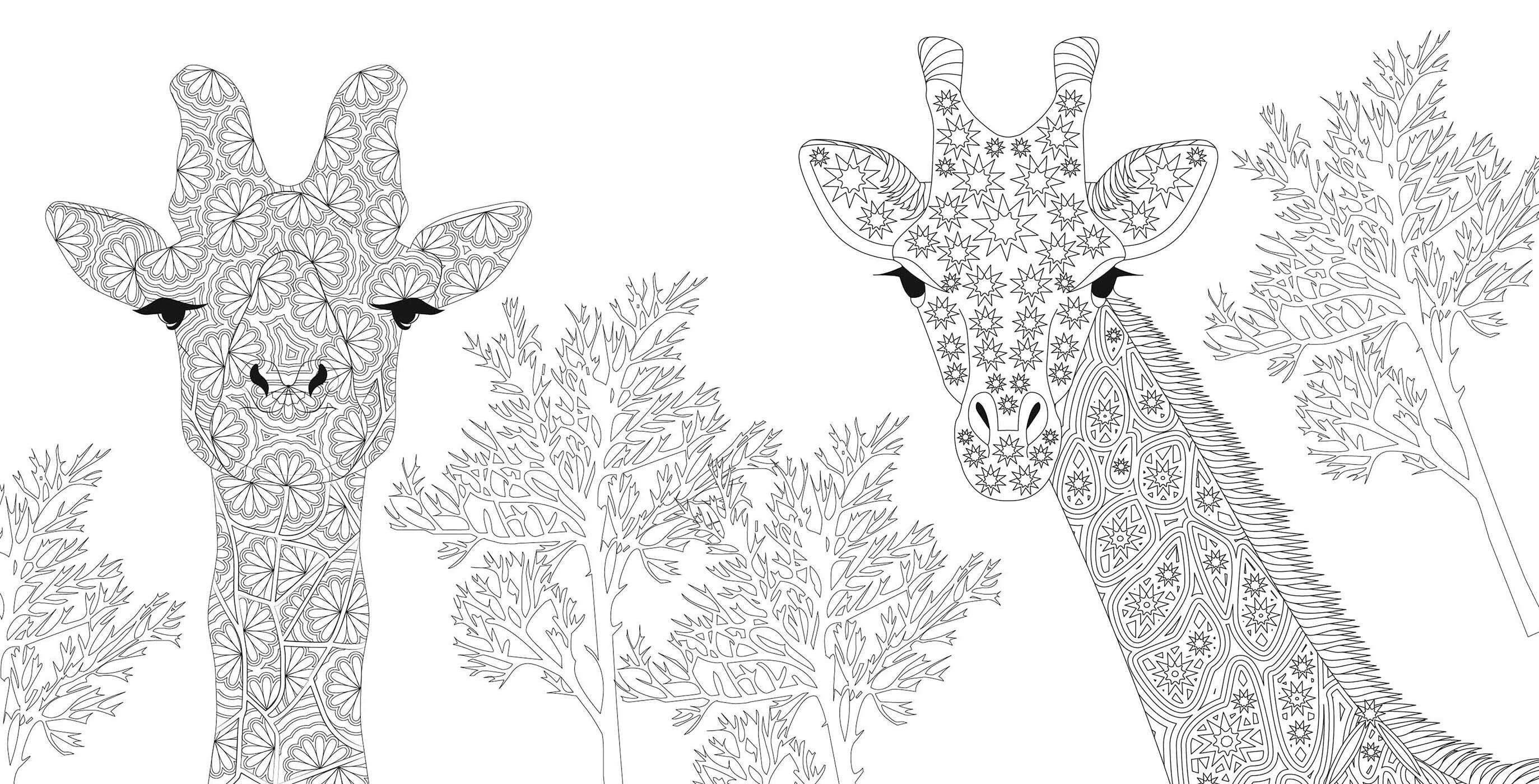 Wild Animals Coloring Book