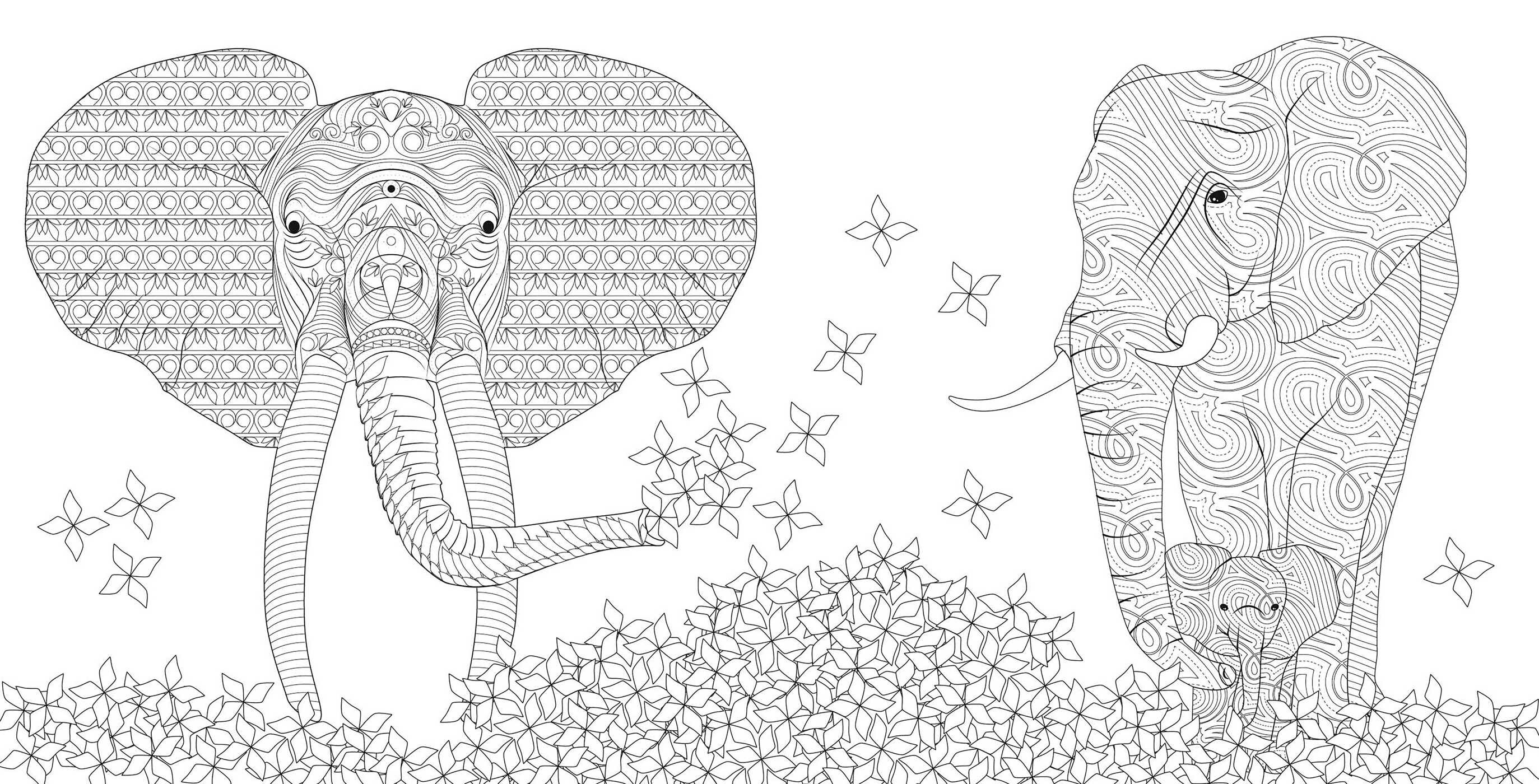 Wild Animals Coloring Book