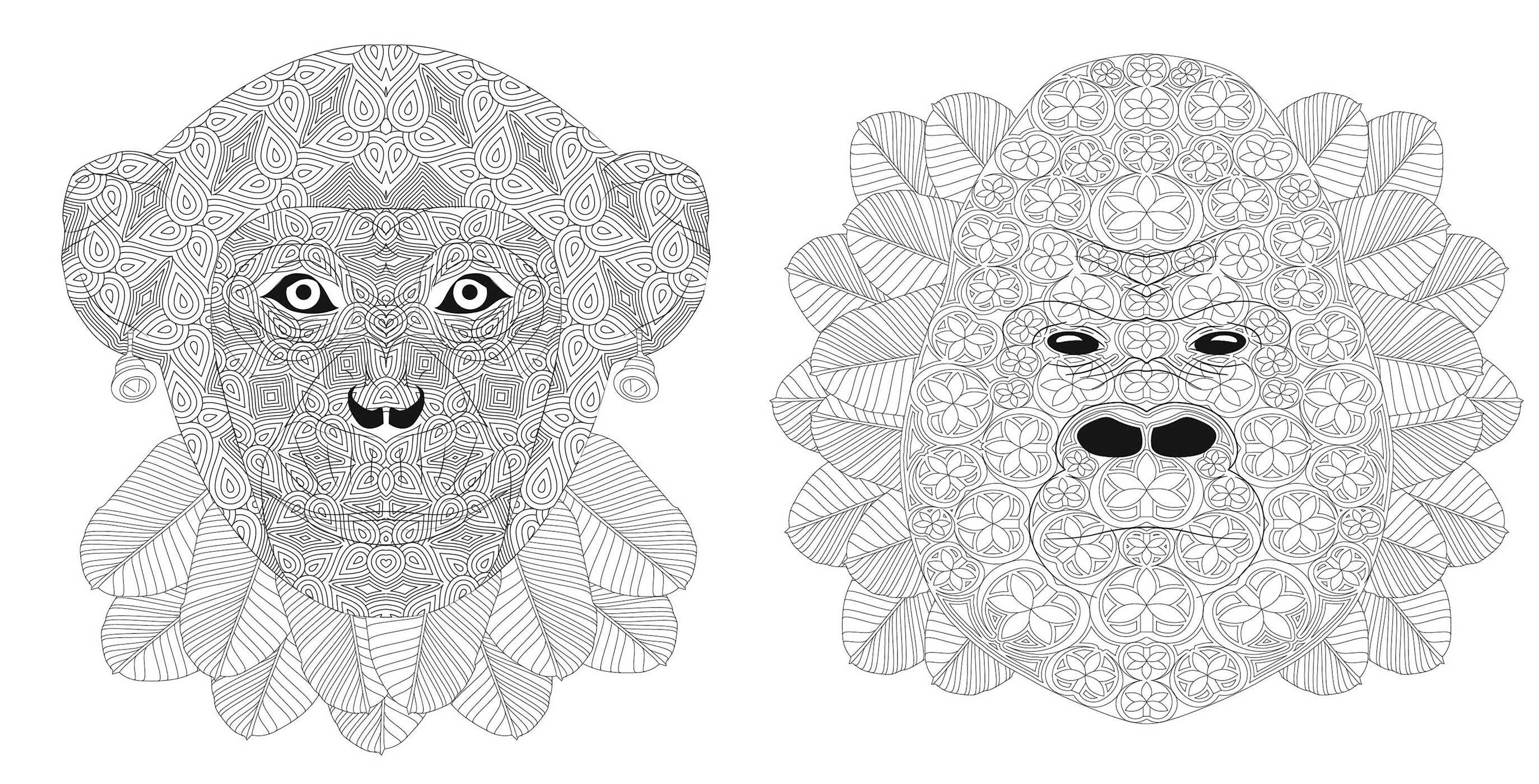 Wild Animals Coloring Book